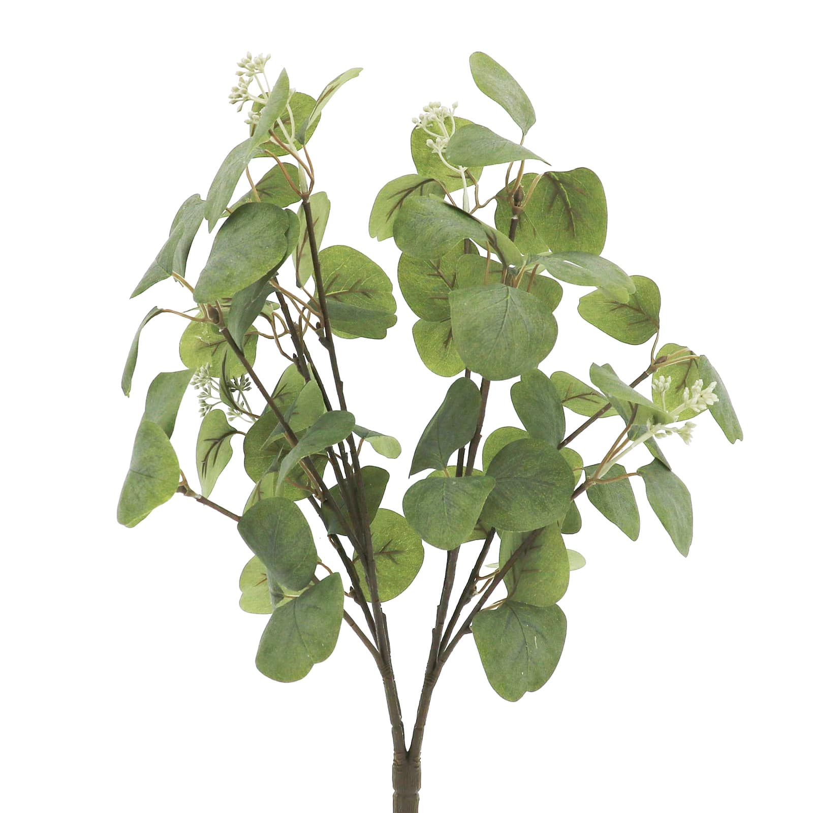 20&#x22; Eucalyptus Bush by Ashland&#xAE;