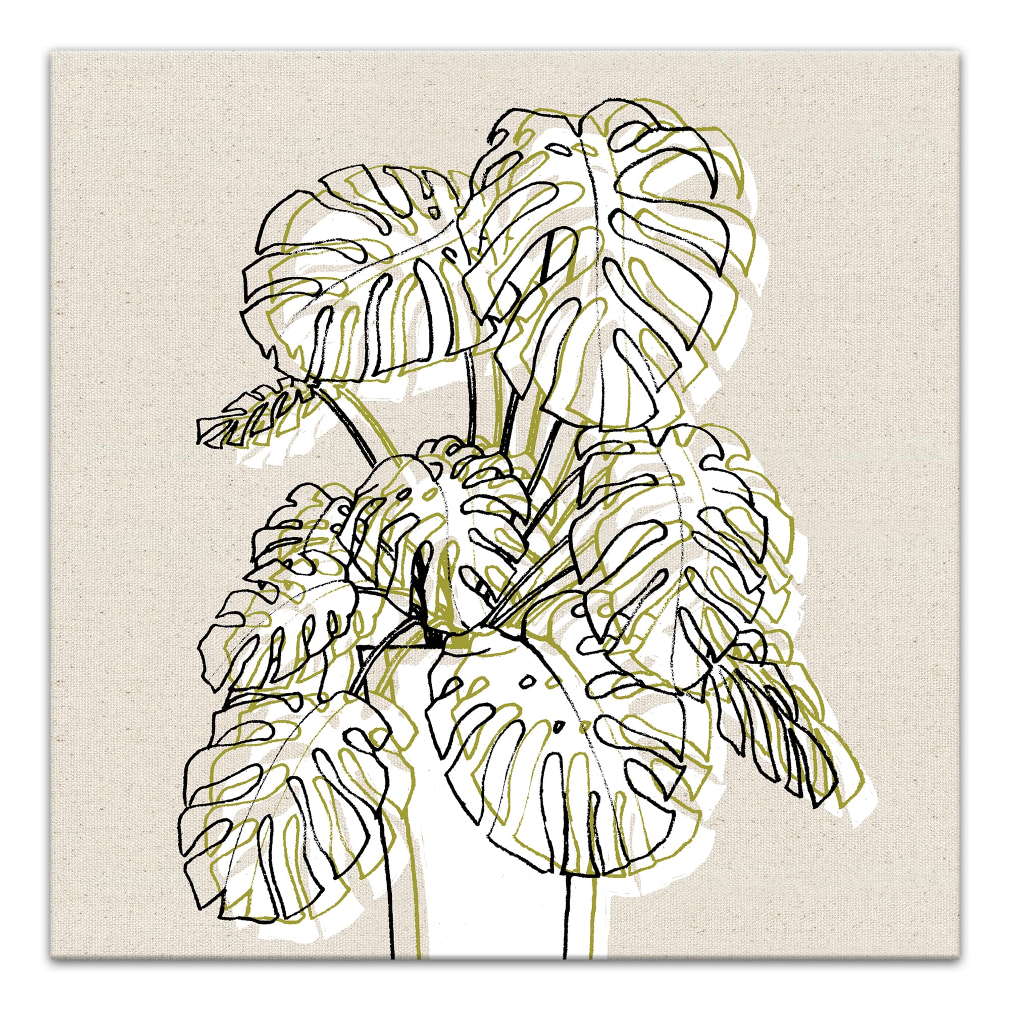 Design Directs Monstera Drawing Canvas Wall Art
