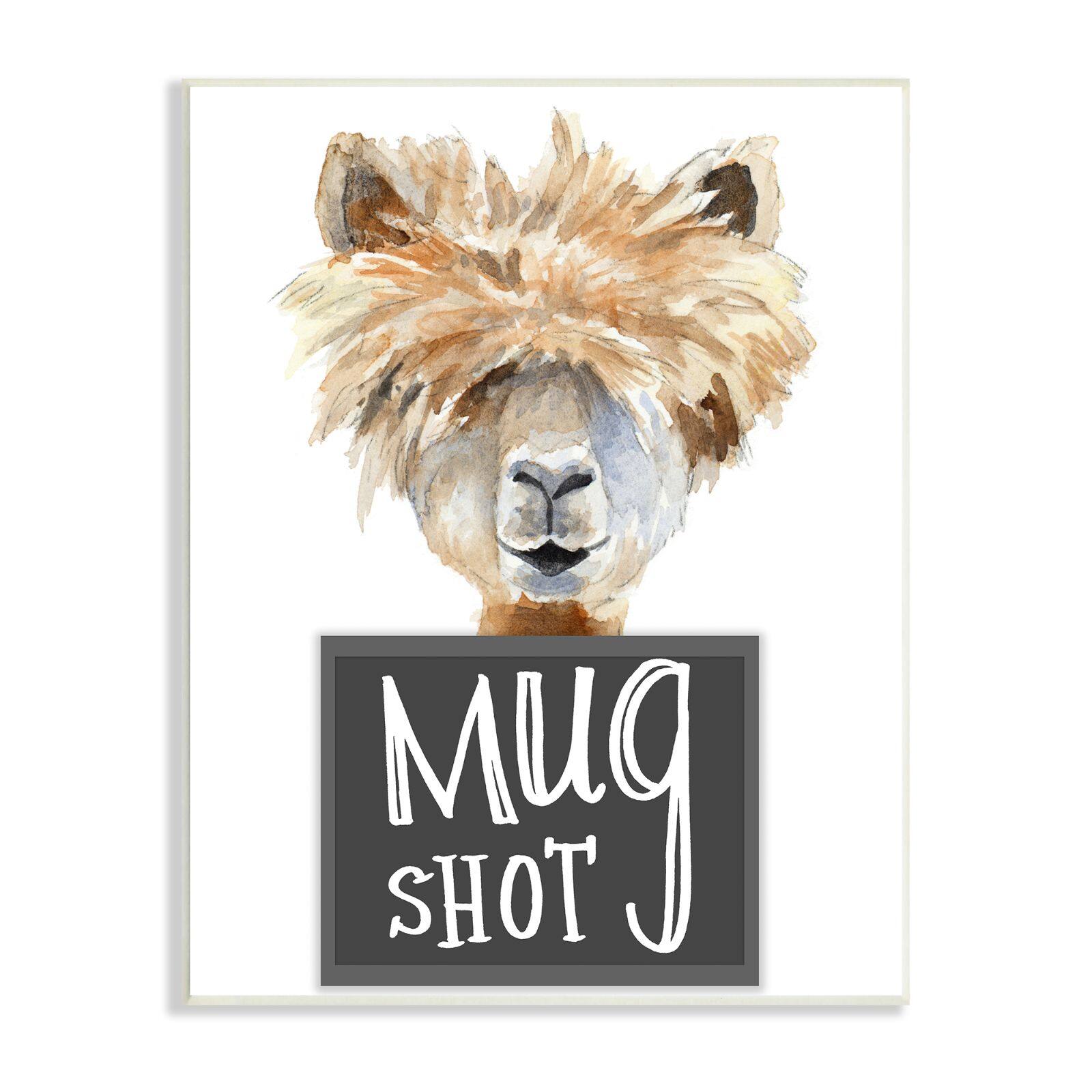 Stupell Industries Fluffy Hair Alpaca Animal Mugshot Funny Portrait Wall Plaque