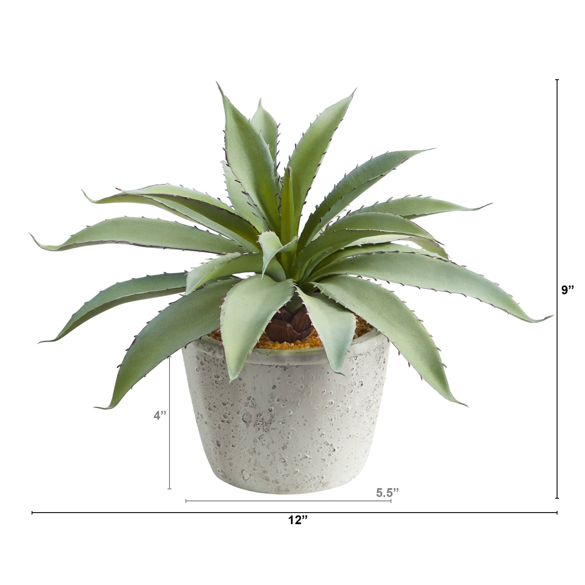 9&#x22; Potted Aloe Succulent Plant