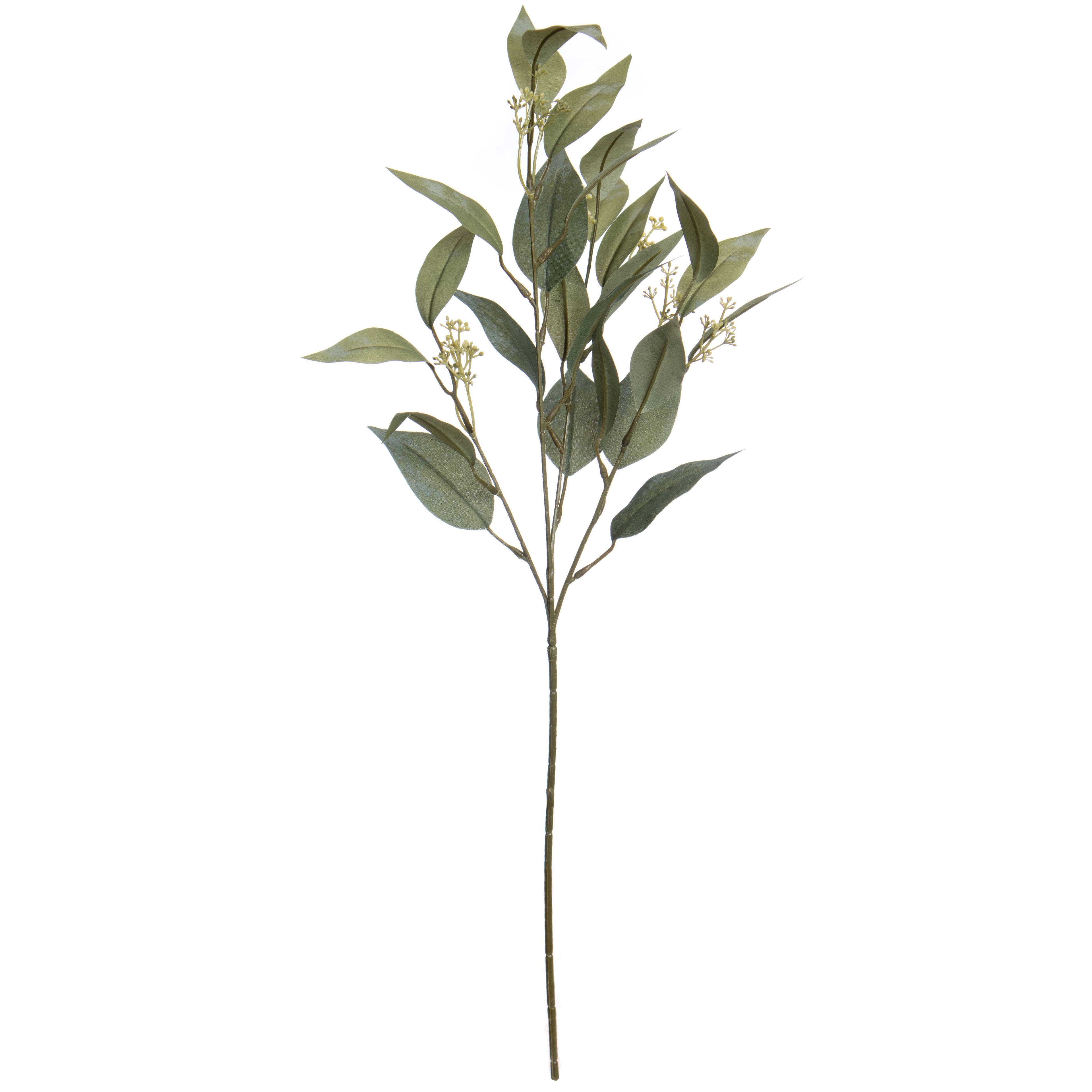 27&#x22; Green Seeded Eucalyptus Stem by Ashland&#xAE;