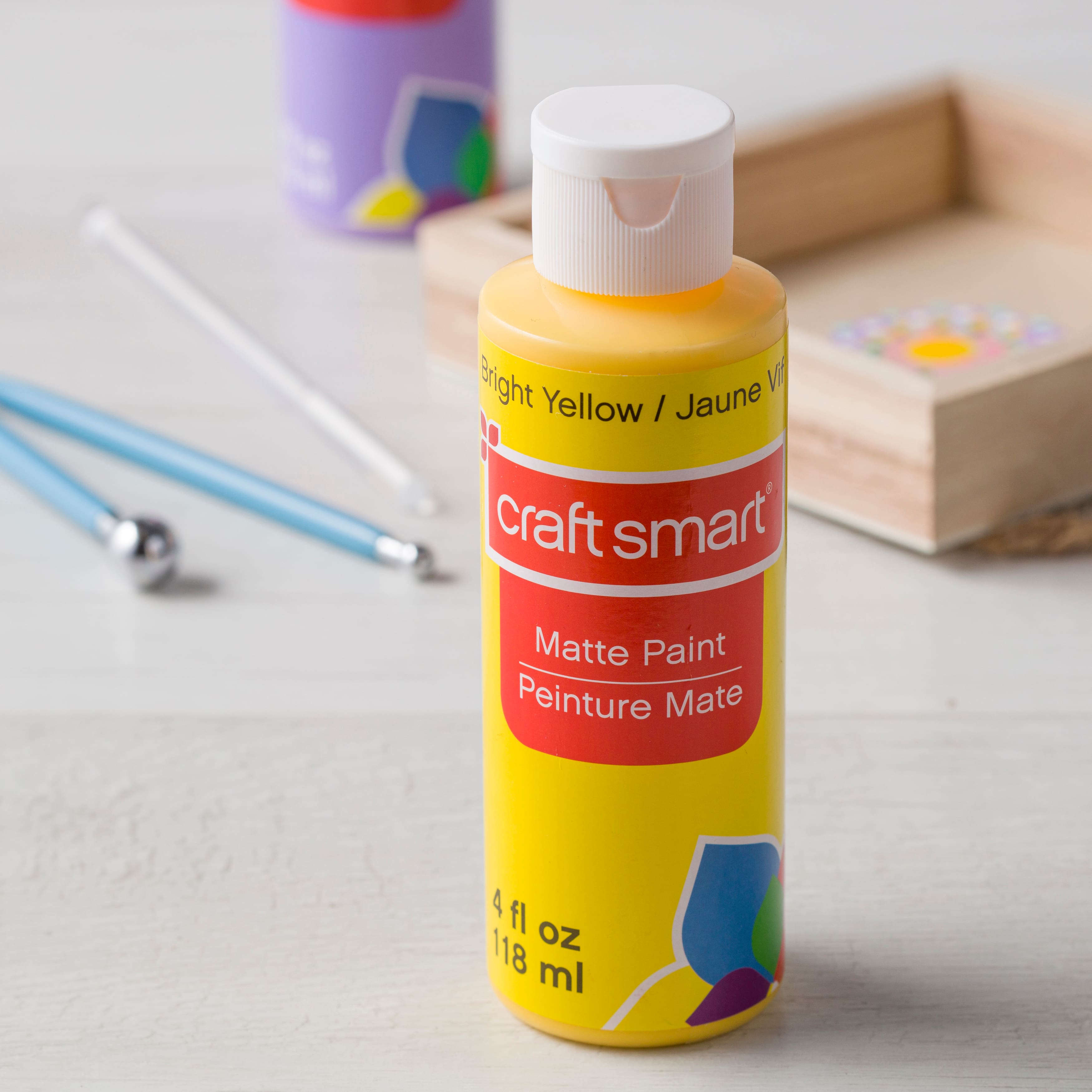Craft Smart™ Matte Acrylic Paint Value Set 