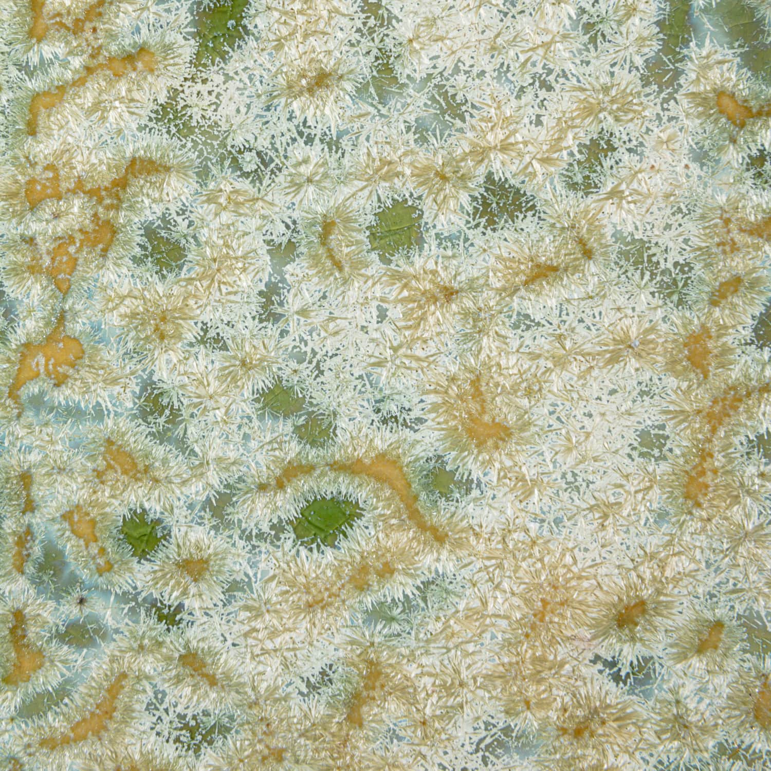 Hello Honey® Long Green Reactive Crackle Glaze Stoneware Platters, 2ct.