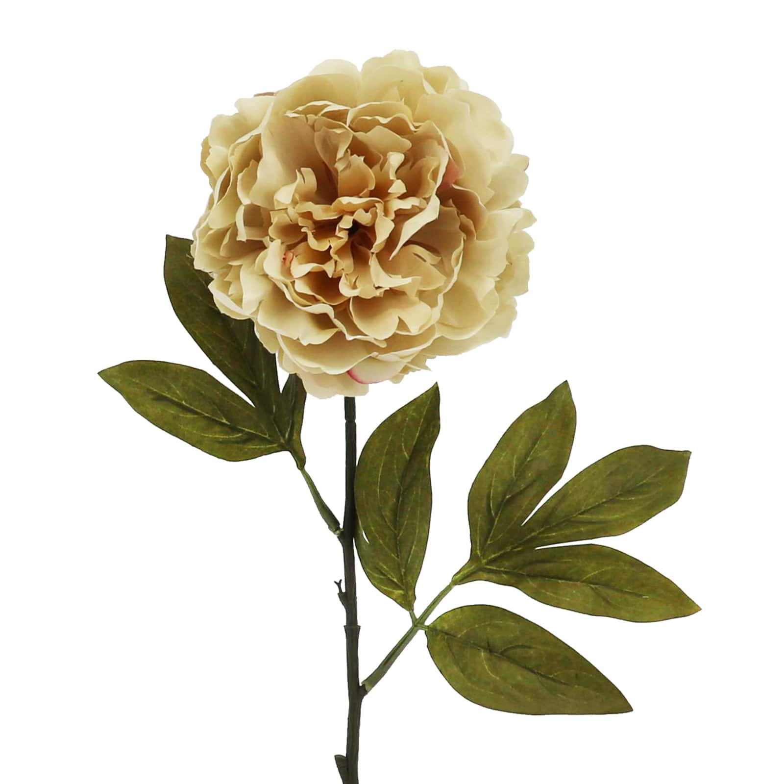 27&#x22; Beige Peony Stem by Ashland&#xAE;