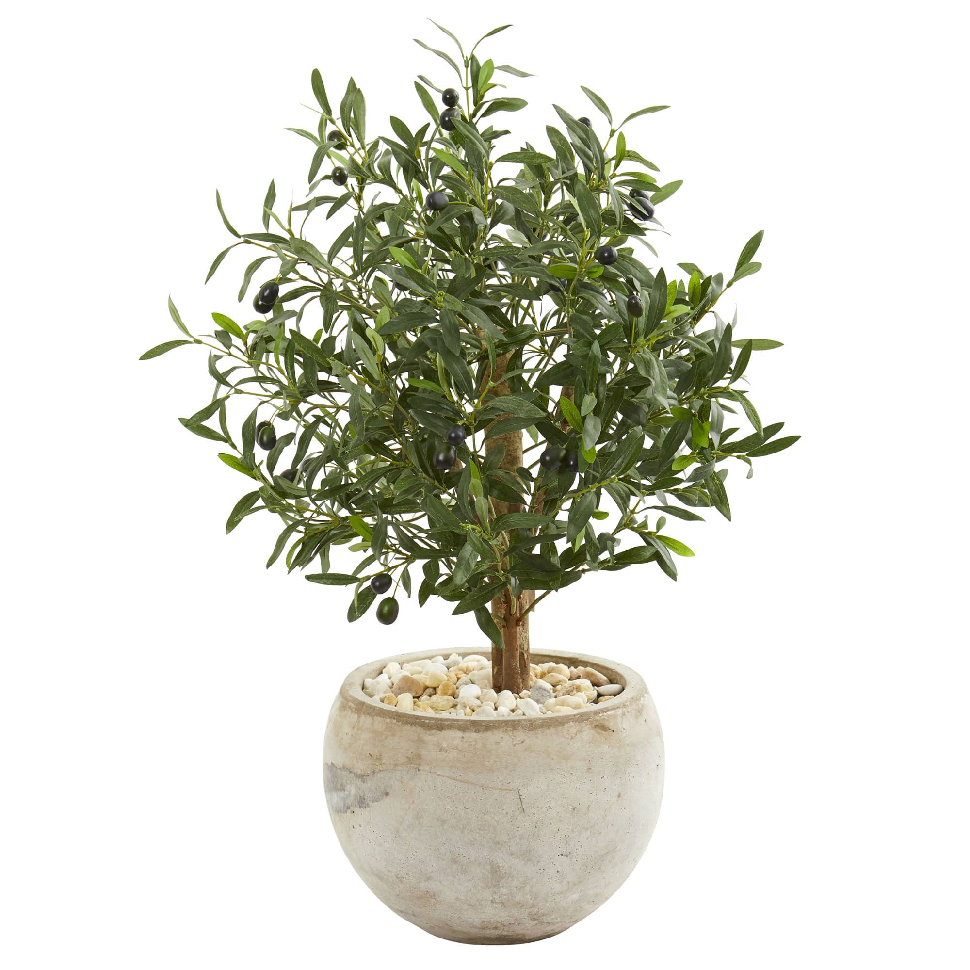 2.5ft. Olive Tree in Bowl Planter