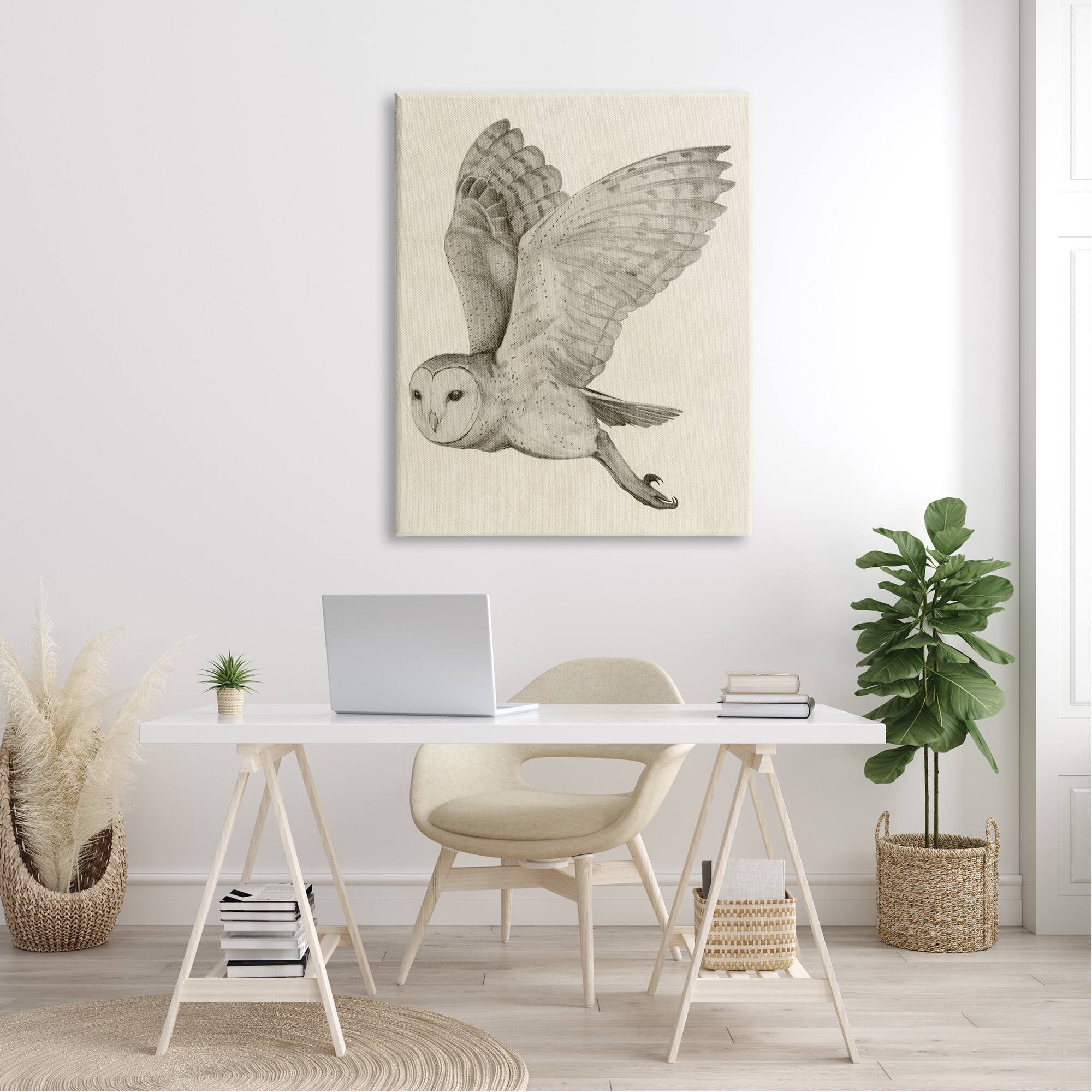 Stupell Industries Flying Barn Owl Wings Detailed Drawing Canvas Wall Art