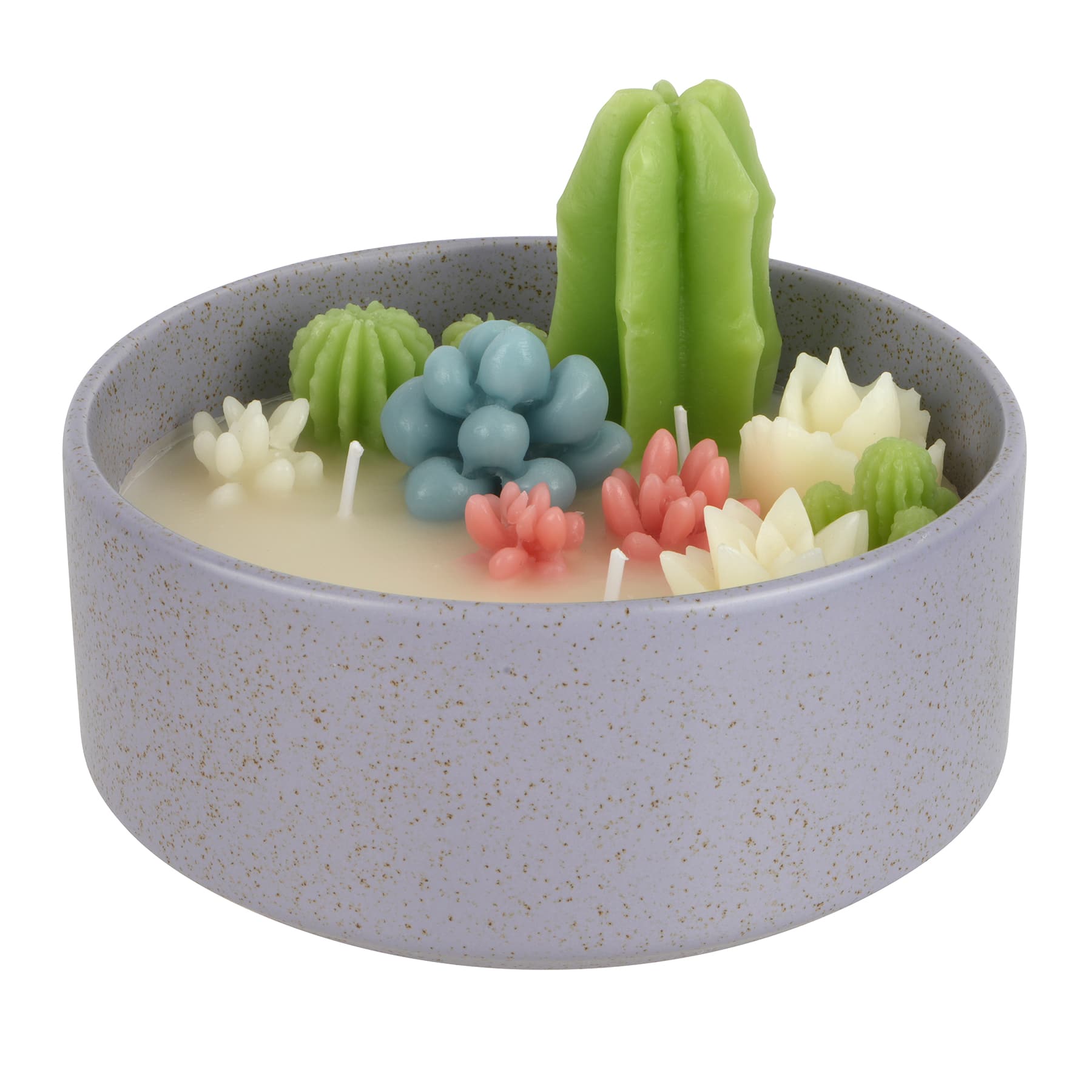 Cactus Soy Candle in Ceramic Bowl by Ashland&#xAE;