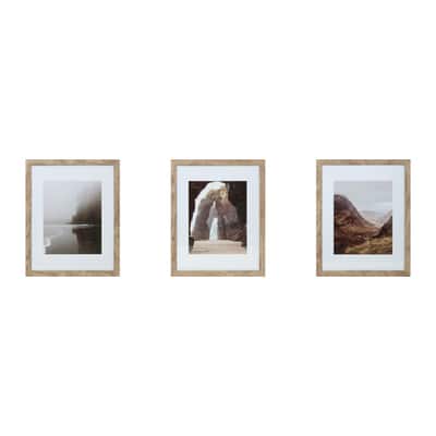 3 Pack Gallery™ Honey Frame with Mat by Studio Décor®, Size: 11" x 14" / 8" x 10" mat | Michaels
