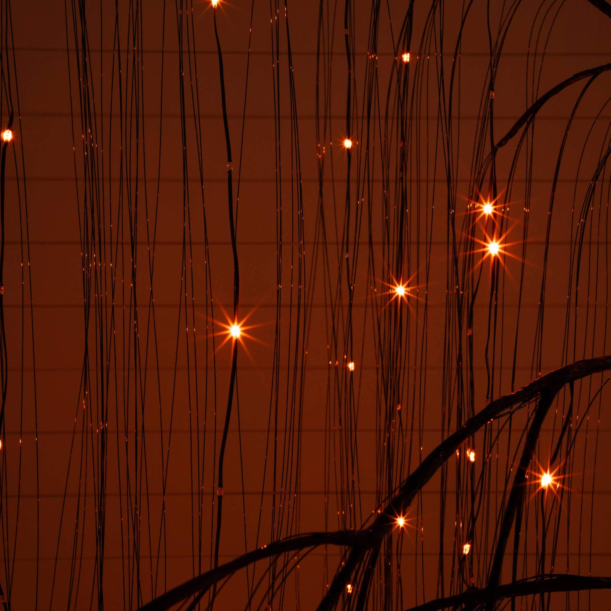7ft. Pre-Lit Artificial Halloween Black Willow Tree with 600 Purple and Orange Dual Color LED Lights