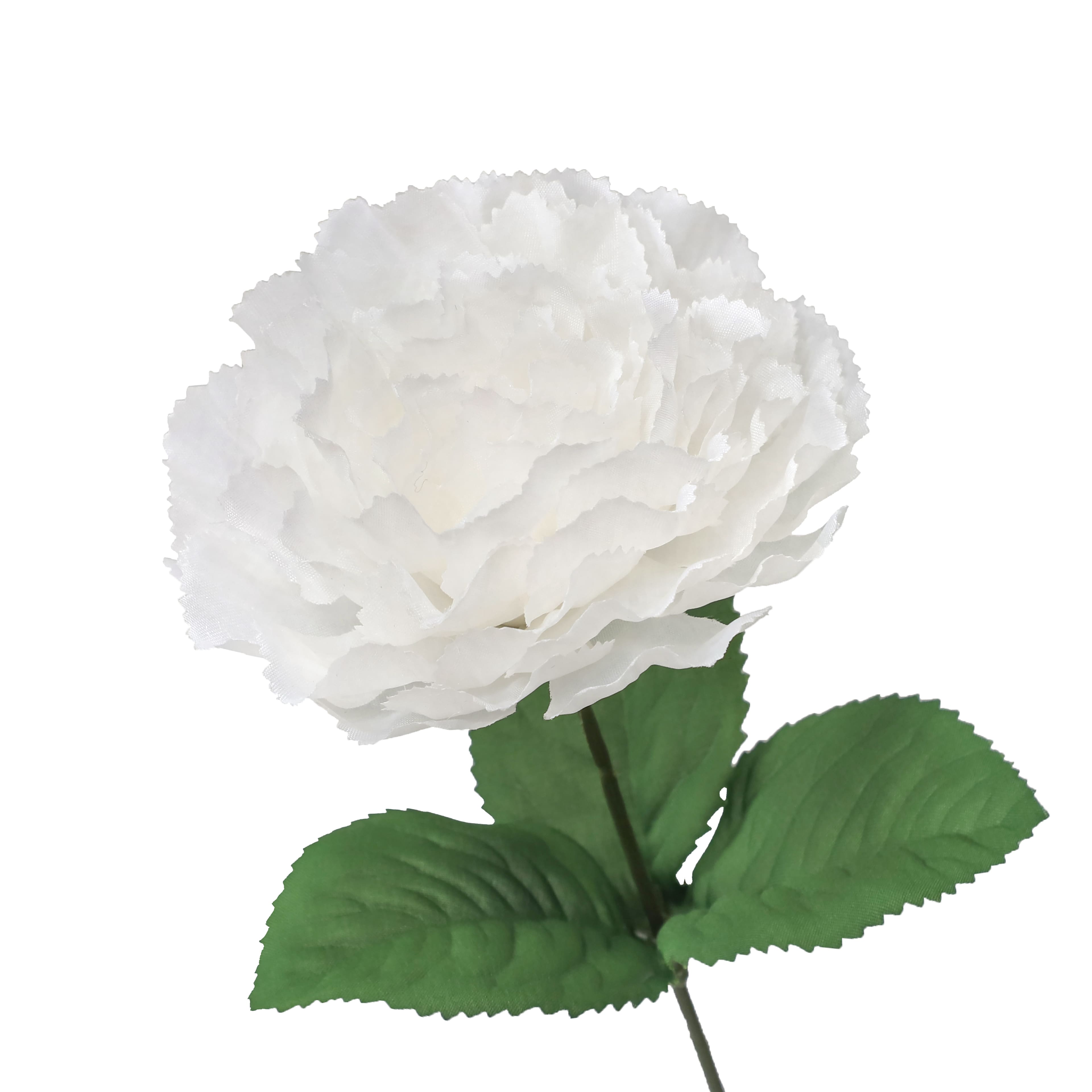 18&#x22; Cream Carnation Bush by Ashland&#xAE;