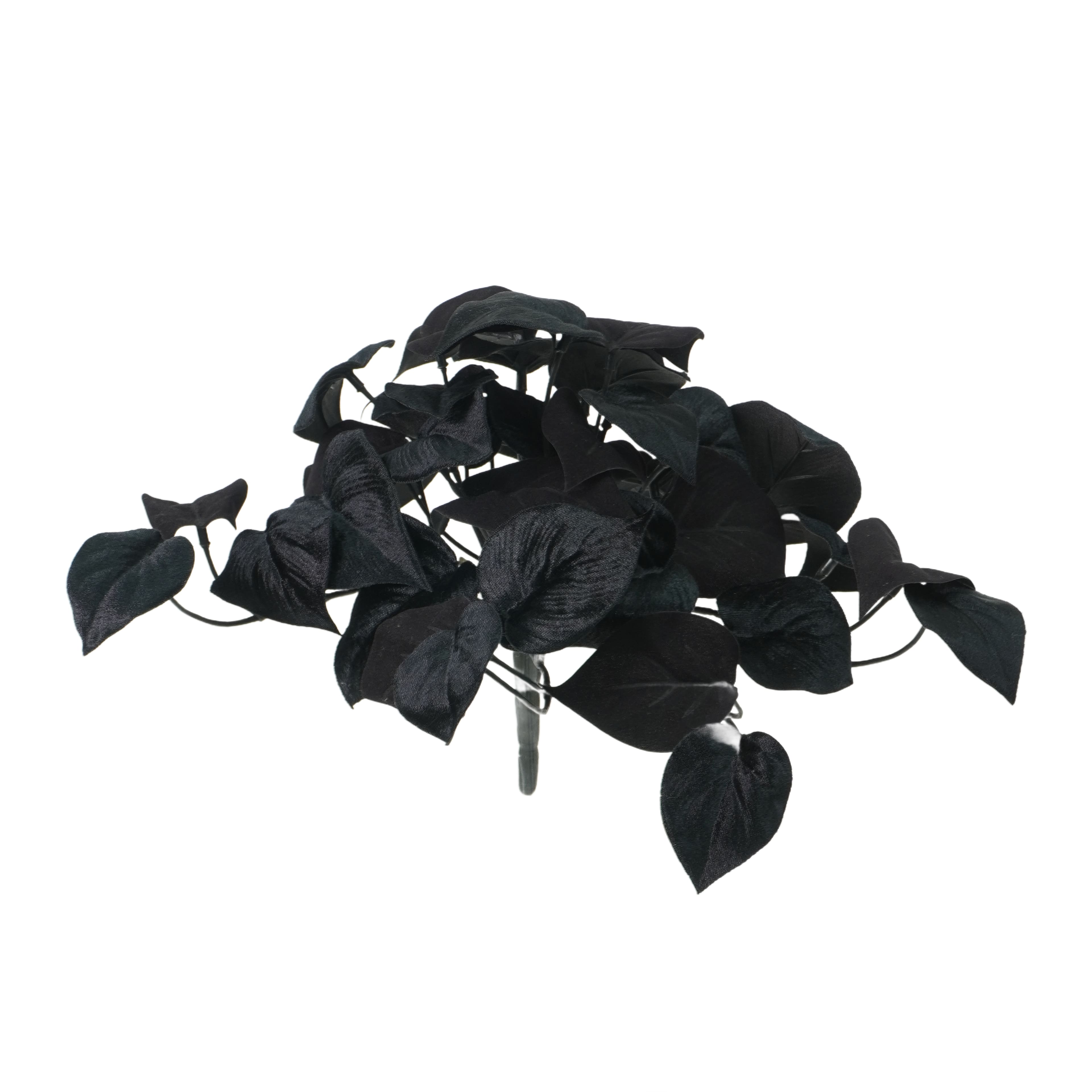 14&#x22; Black Philodendron Bush by Ashland&#xAE;