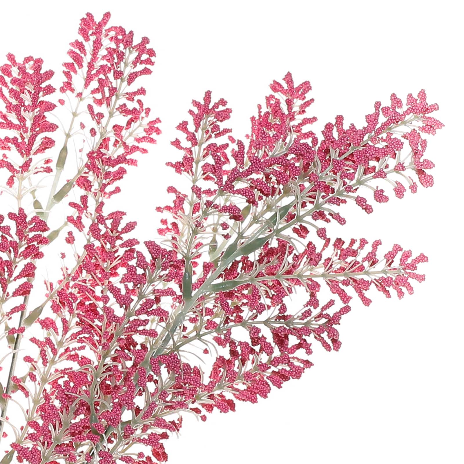 Bright Pink Berry Bush by Ashland | 19 | Michaels
