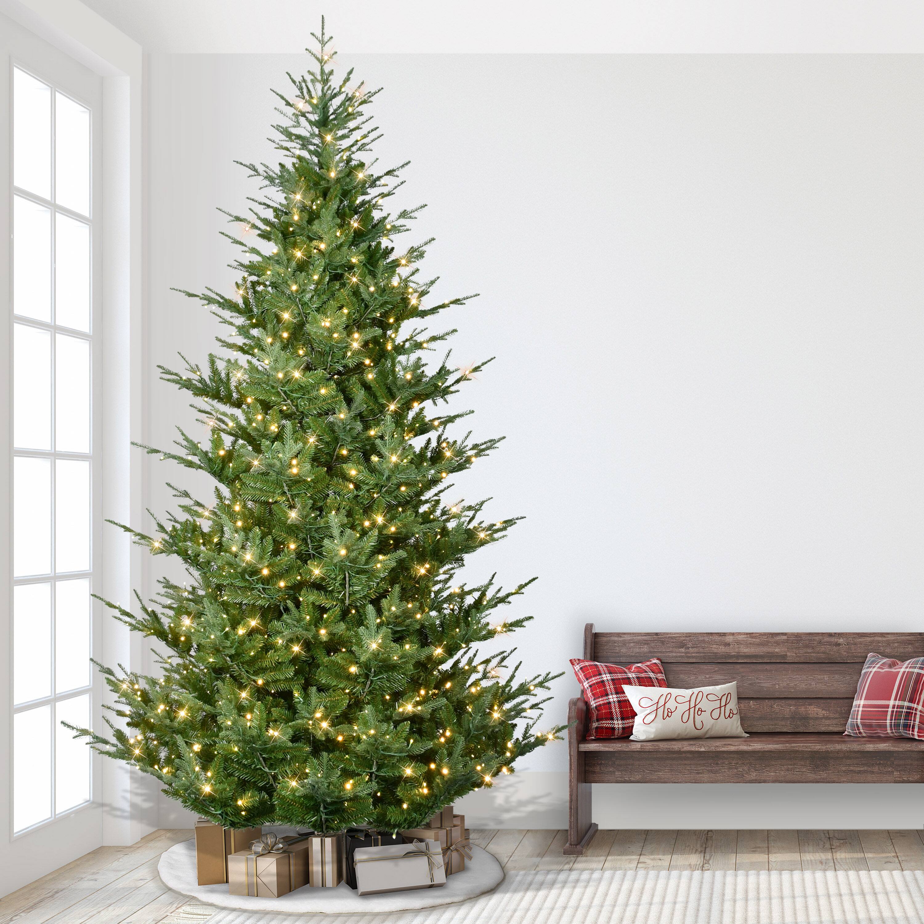 10ft. Pre-Lit Hillside Spruce Artificial Christmas Tree, Warm White LED Lights