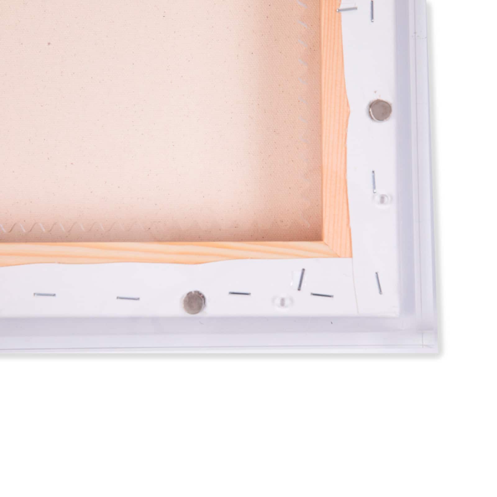 Wexel Art Ready-To-Go MagnaFloat Frame
