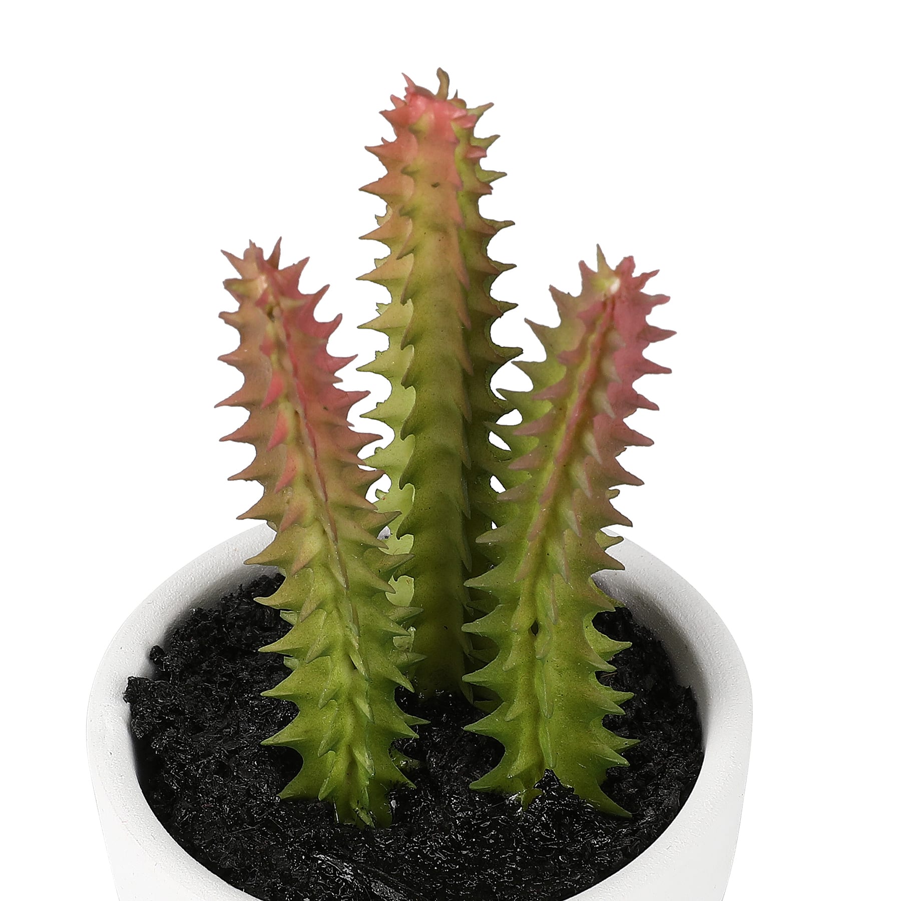 4&#x22; Cactus Plant in White Pot by Ashland&#xAE;