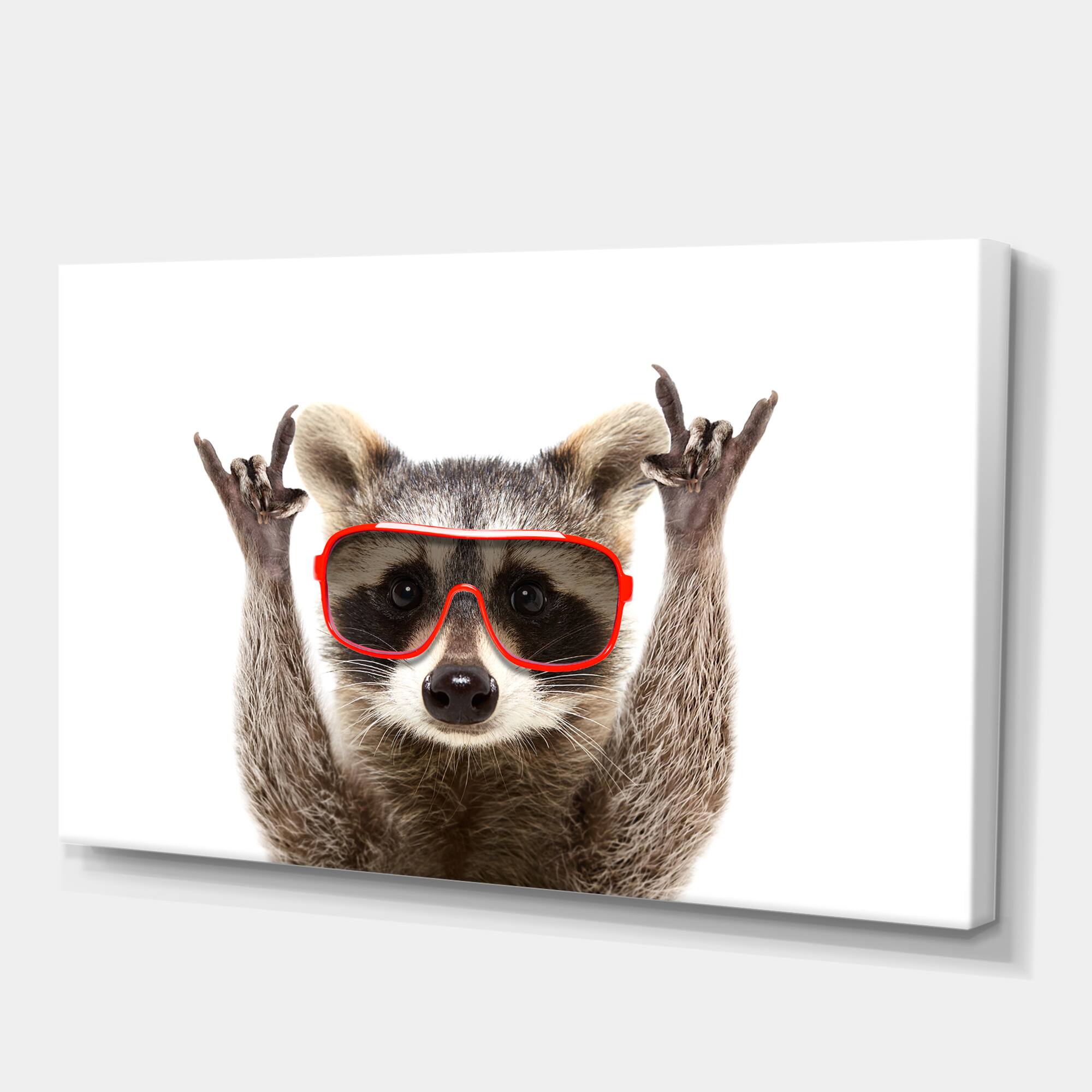 Designart - Raccoon With Red Sunglasses - Animals Canvas Wall Art Print