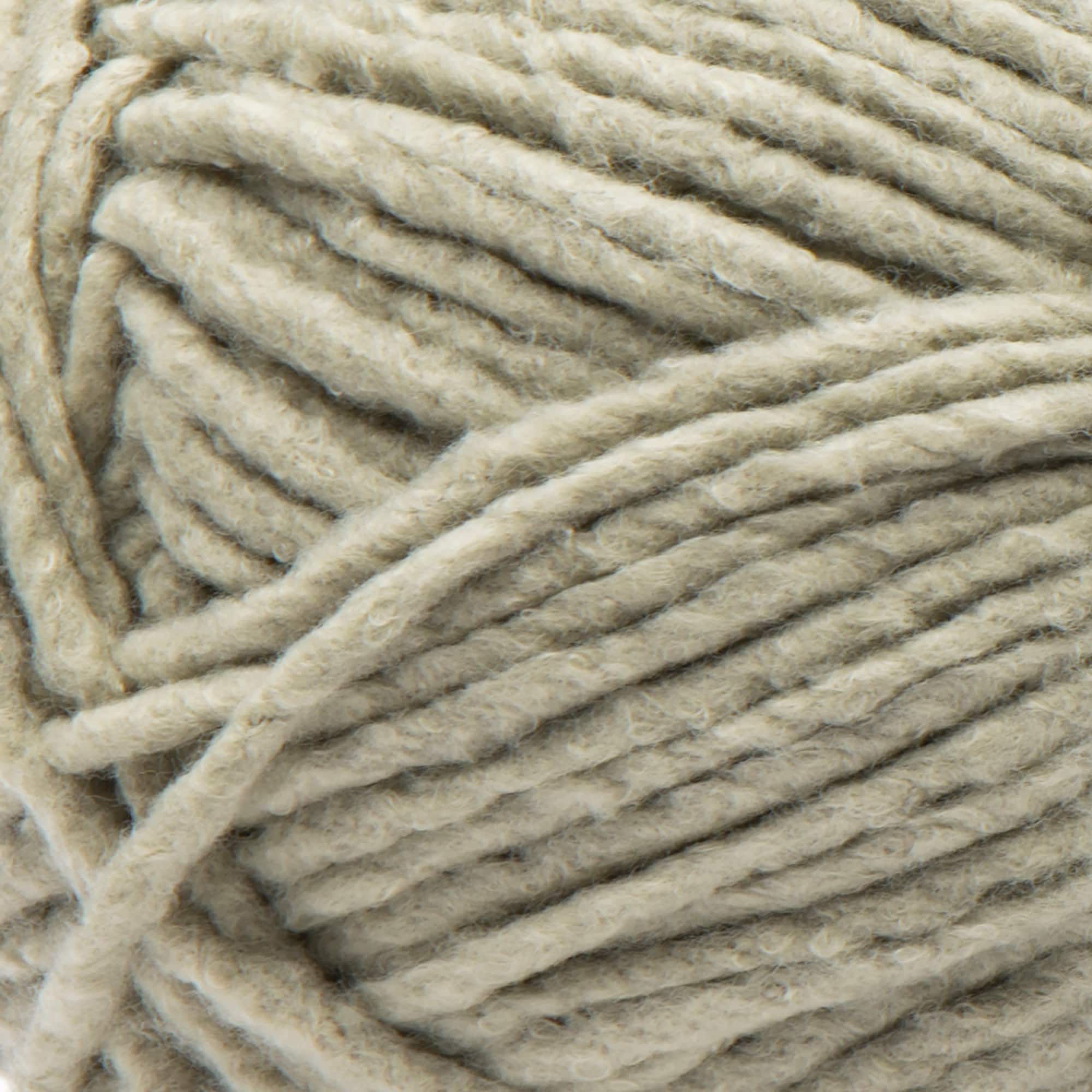 Bernat&#xAE; Forever Fleece&#x2122; Yarn