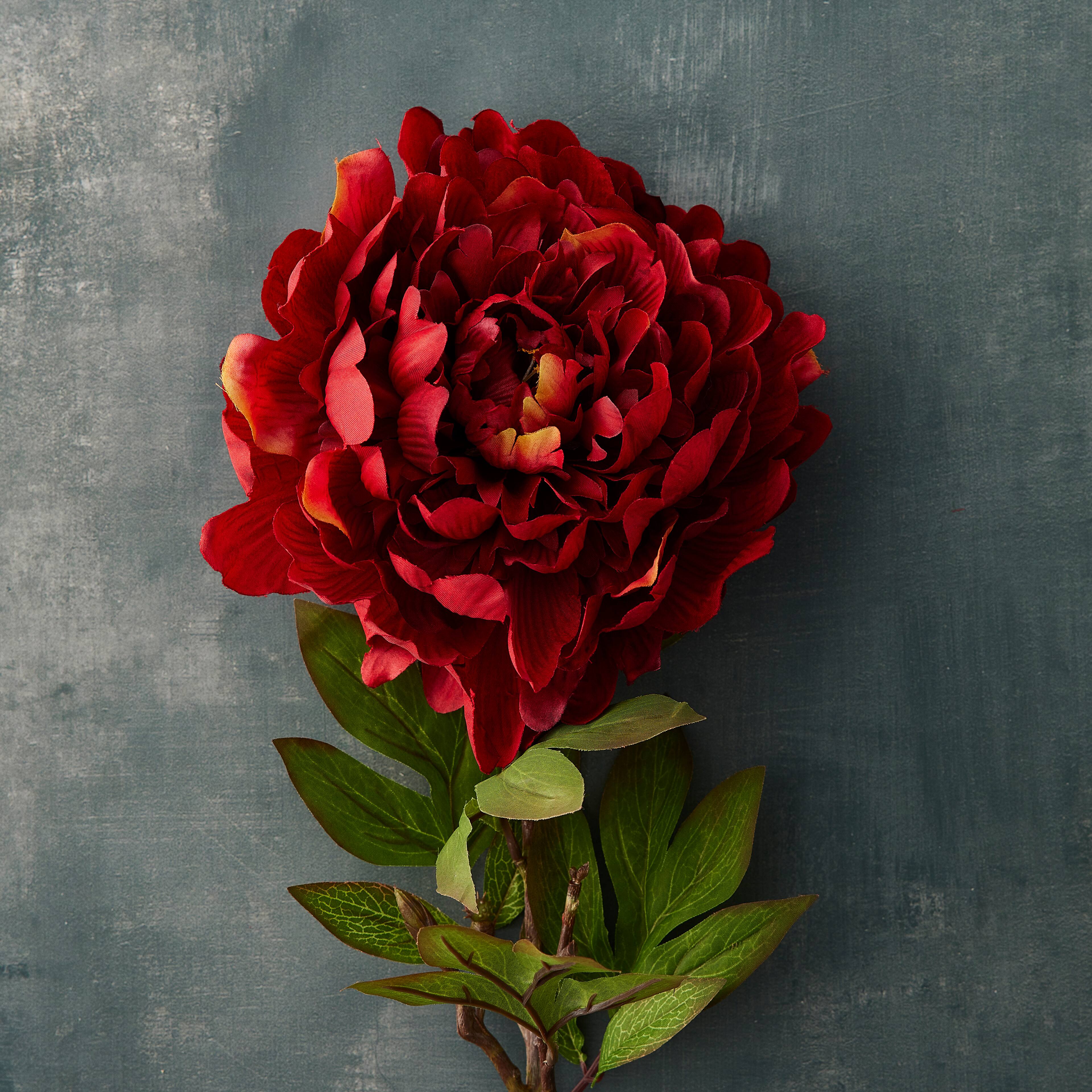 12 Pack: Red Peony Stem by Ashland&#xAE;