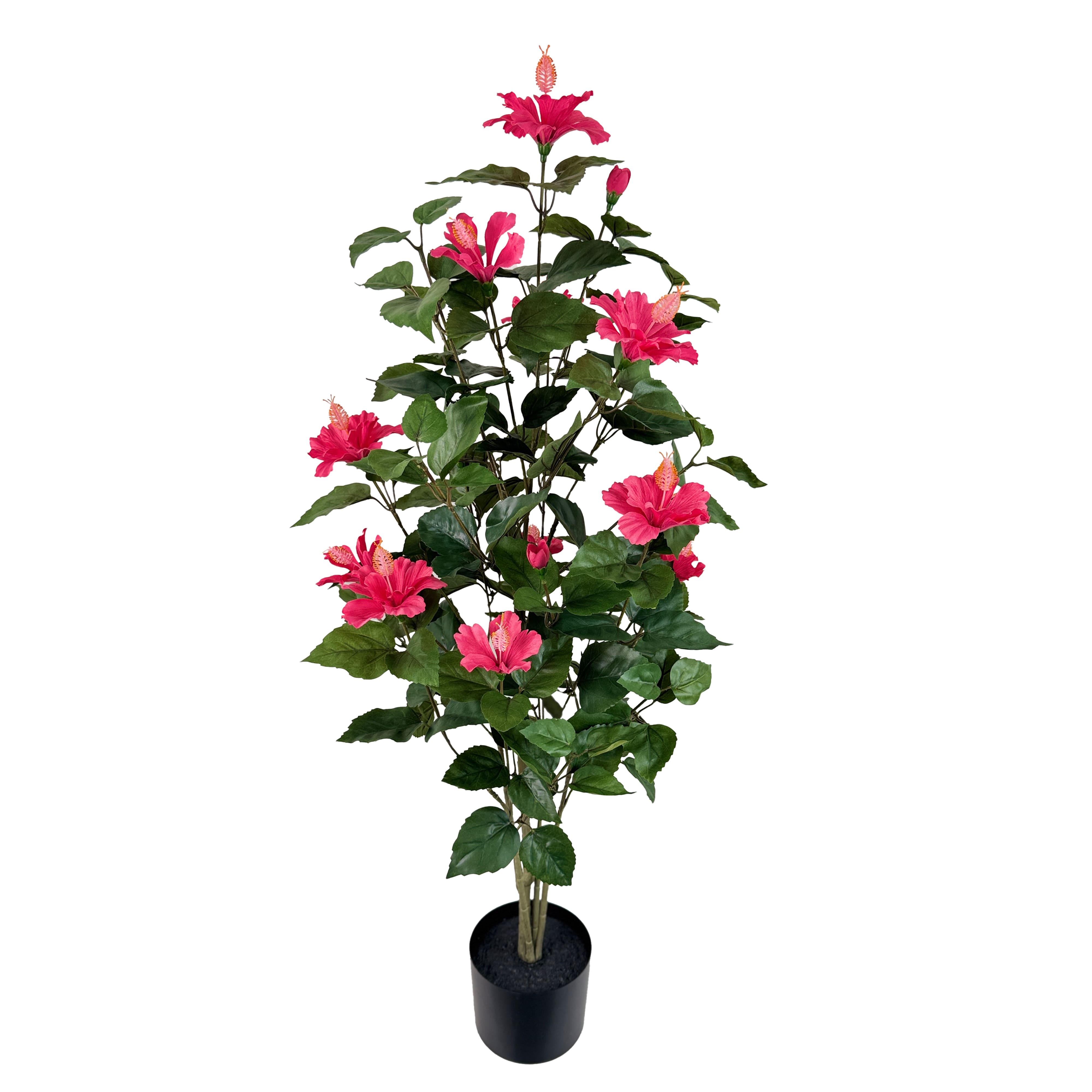 3.5ft. Potted Pink Hibiscus Plant by Ashland&#xAE;