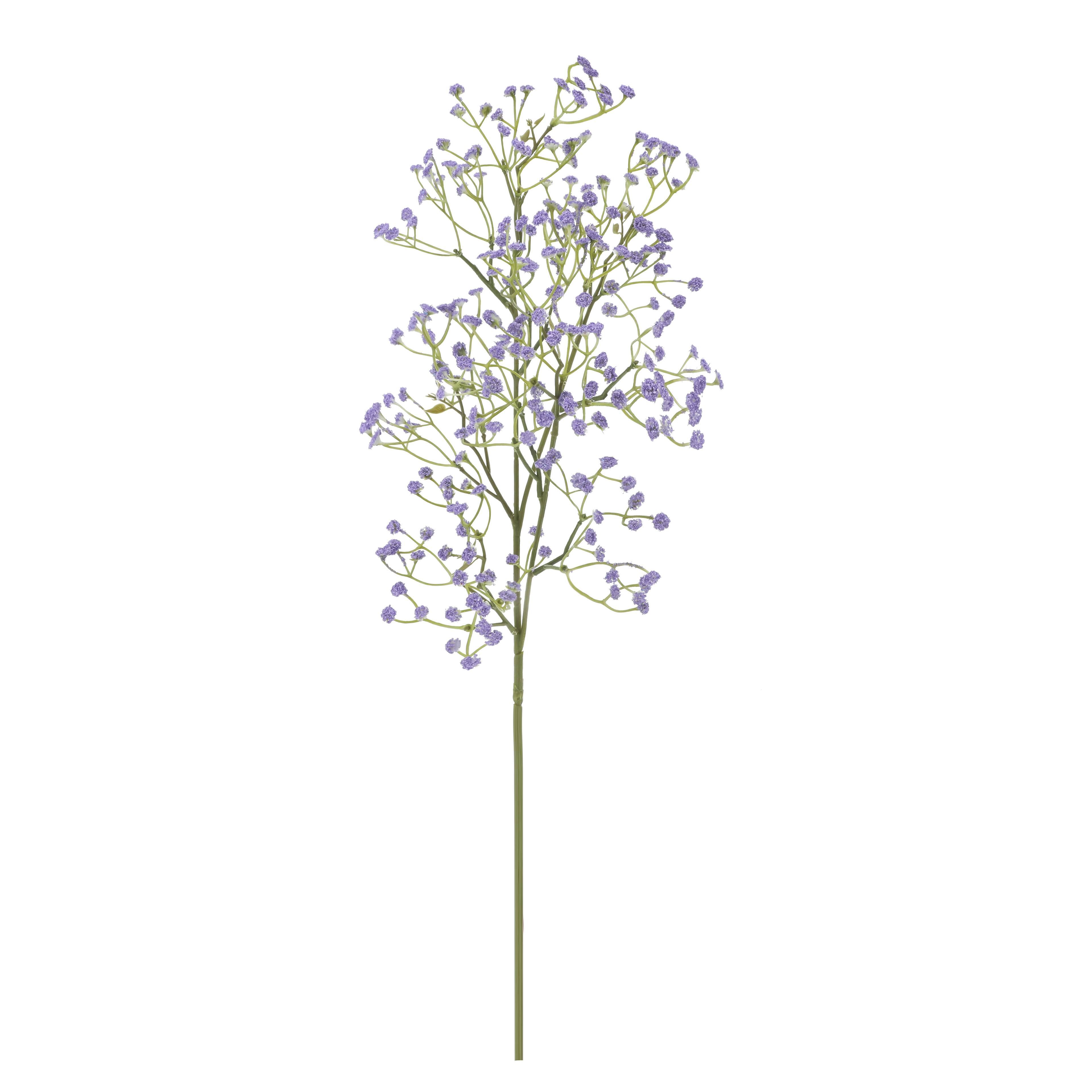 30" Baby's Breath Stem by Ashland®