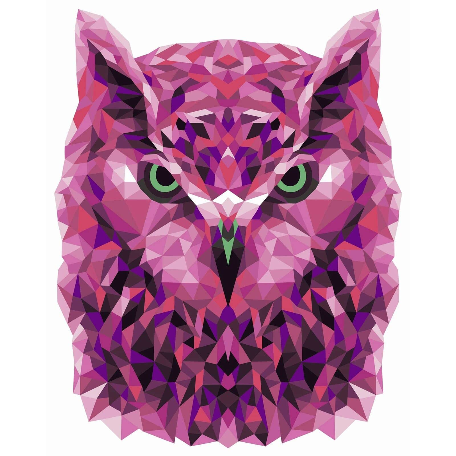 Paint by Number Kit, Owl 