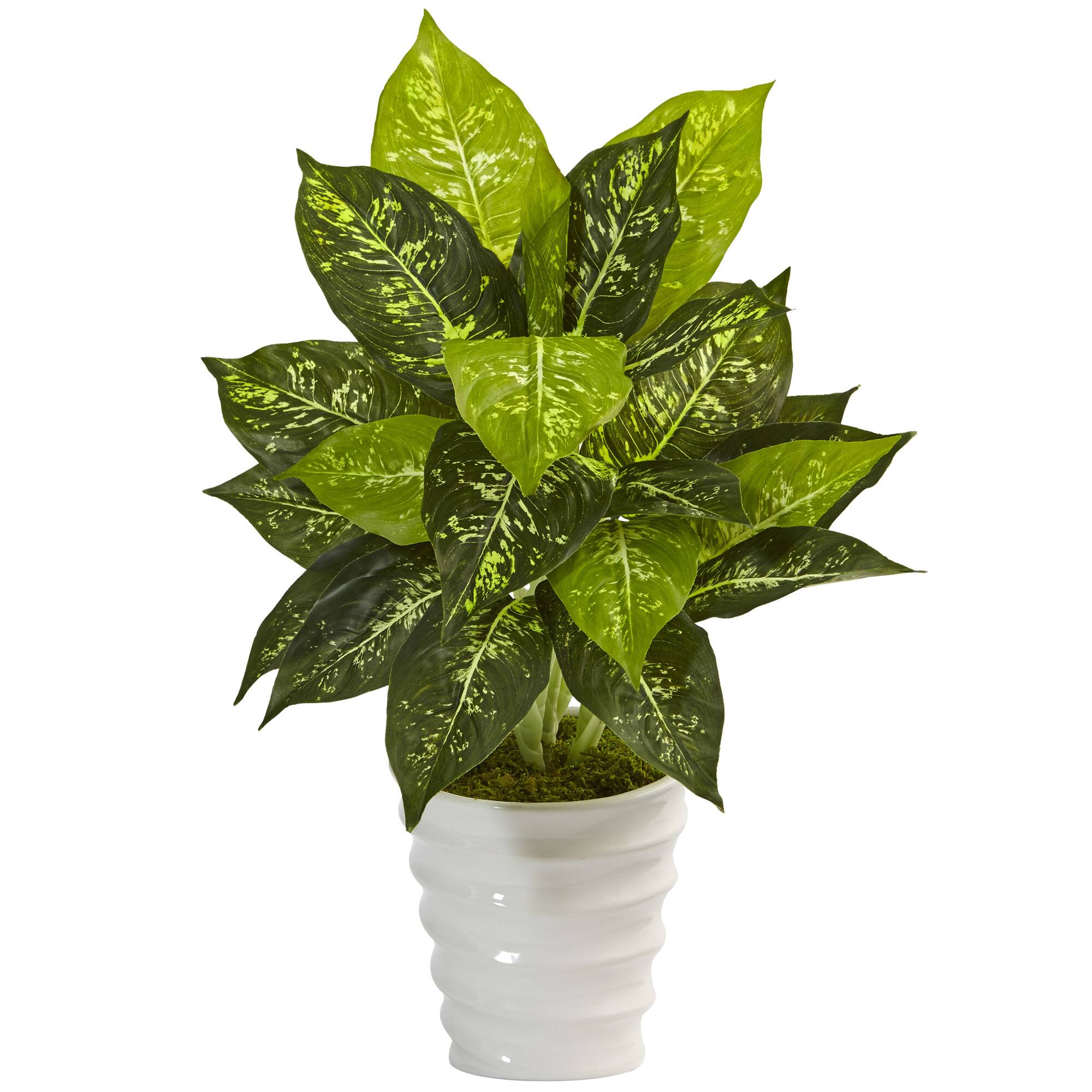 Dieffenbachia Artificial Plant in Swirl Ceramic Planter