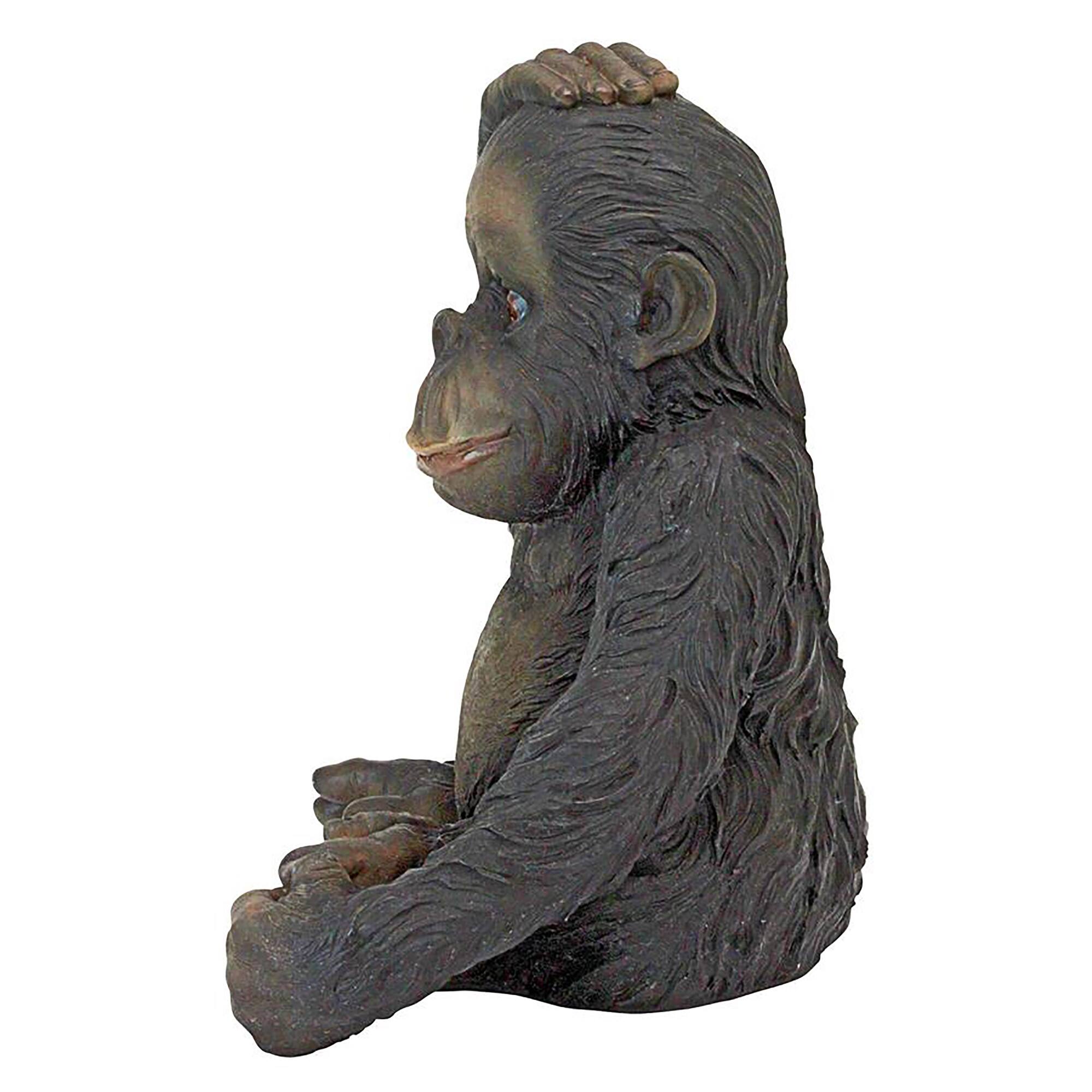 Design Toscano 13&#x22; Curly the Chimpanzee of the Jungle Funny Monkey Statue