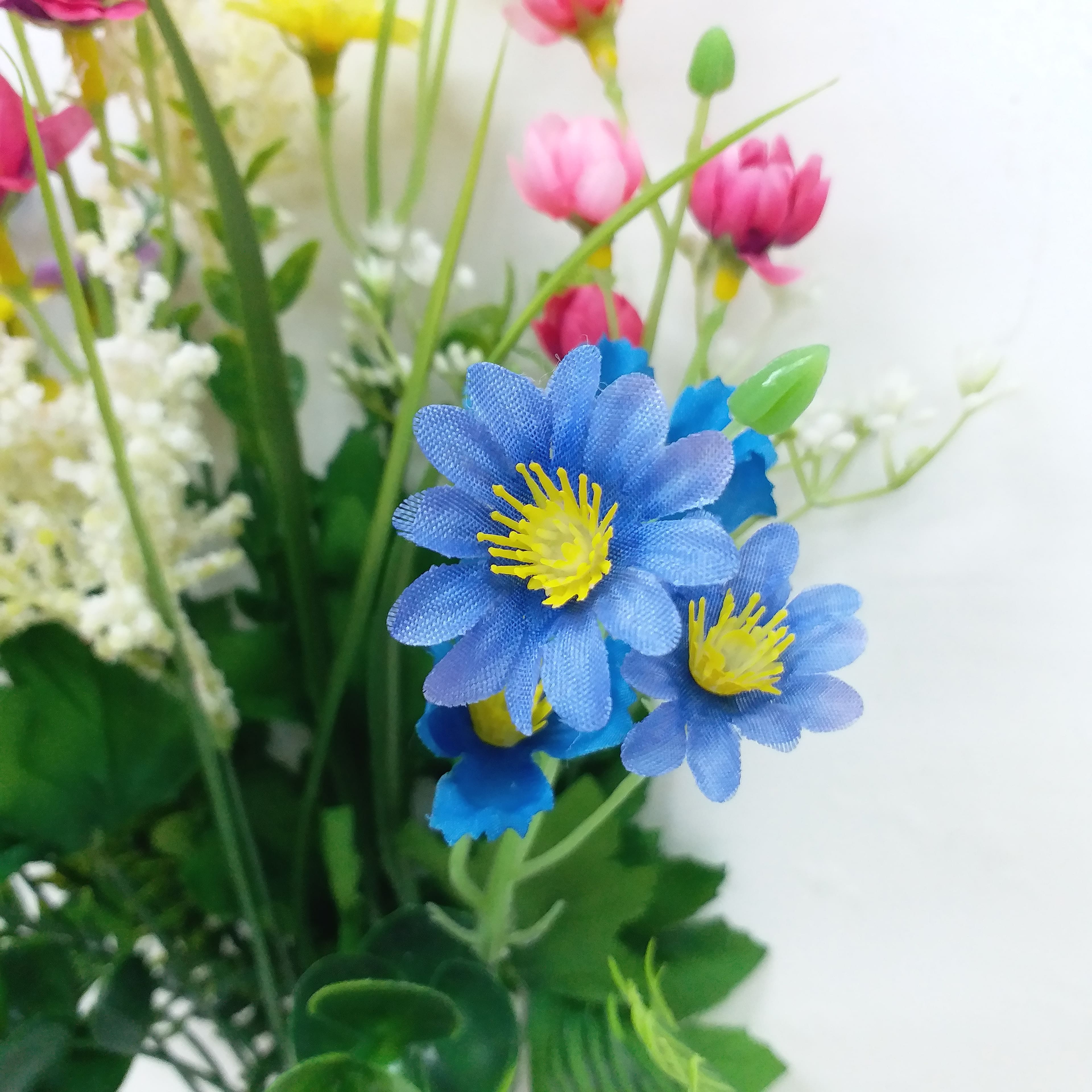 Multicolor Mini Daisy Bush by Ashland&#xAE;