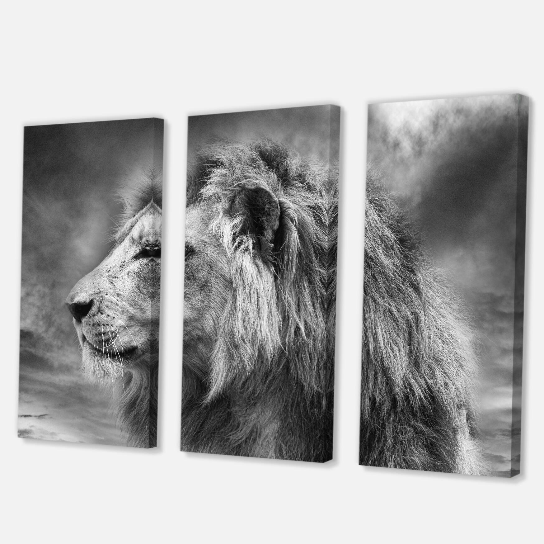 Designart - Grey Wild African Lion - Animal Canvas Art Print