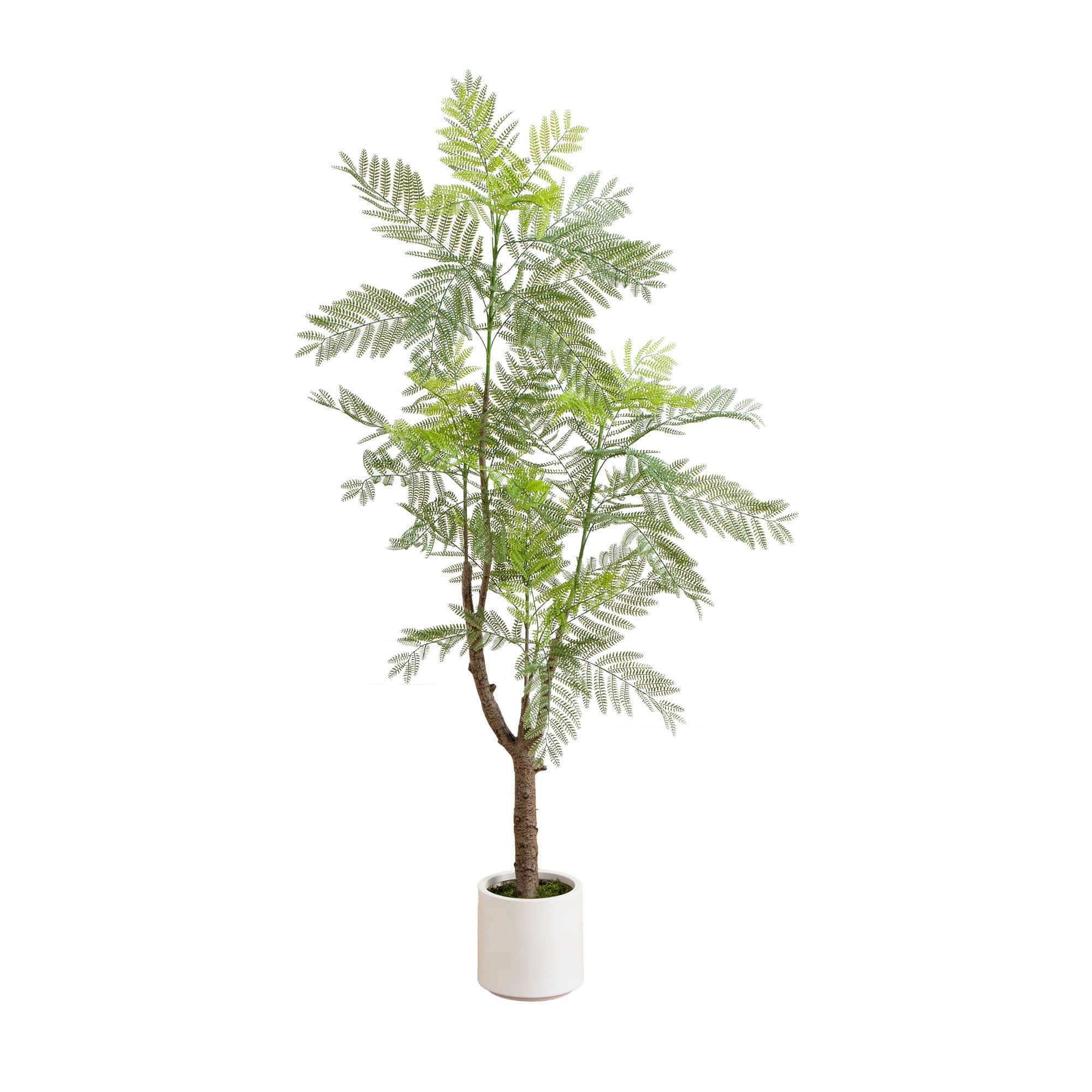 6ft. Artificial Minimalist Jacaranda Tree in White Decorative Planter