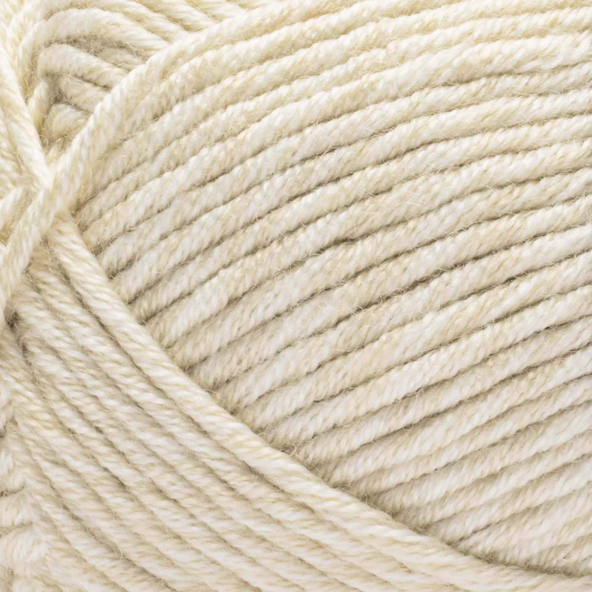 Caron® Simply Me Montage™ Yarn