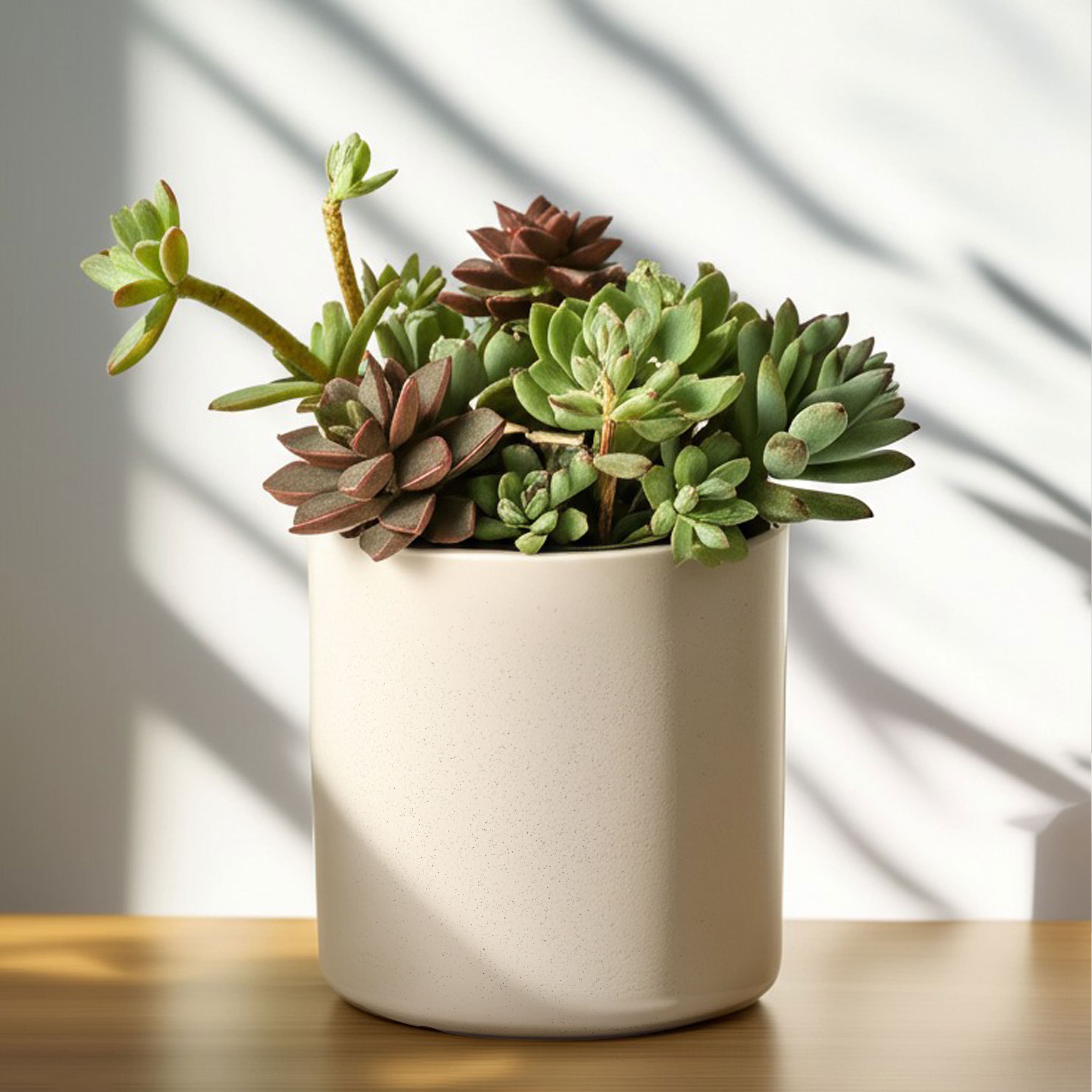 8&#x22; Cream Speckled Ceramic Pot by Ashland&#xAE;