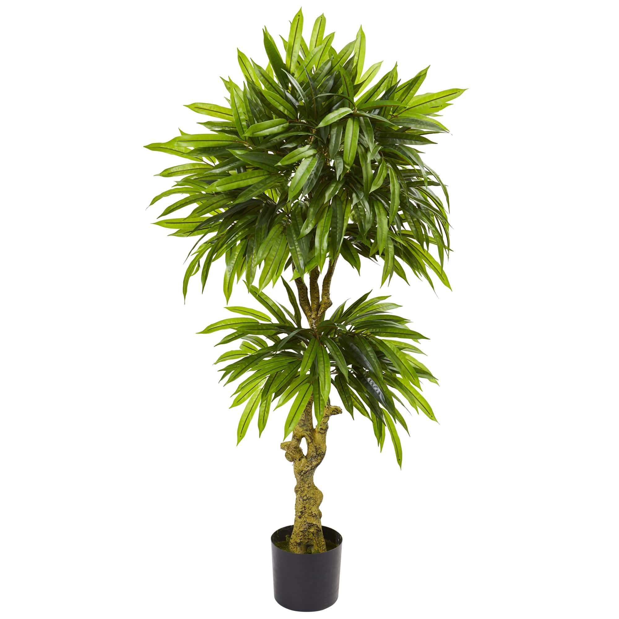 4.5ft. Potted Mango Tree | Trees & Floor Plants | Michaels