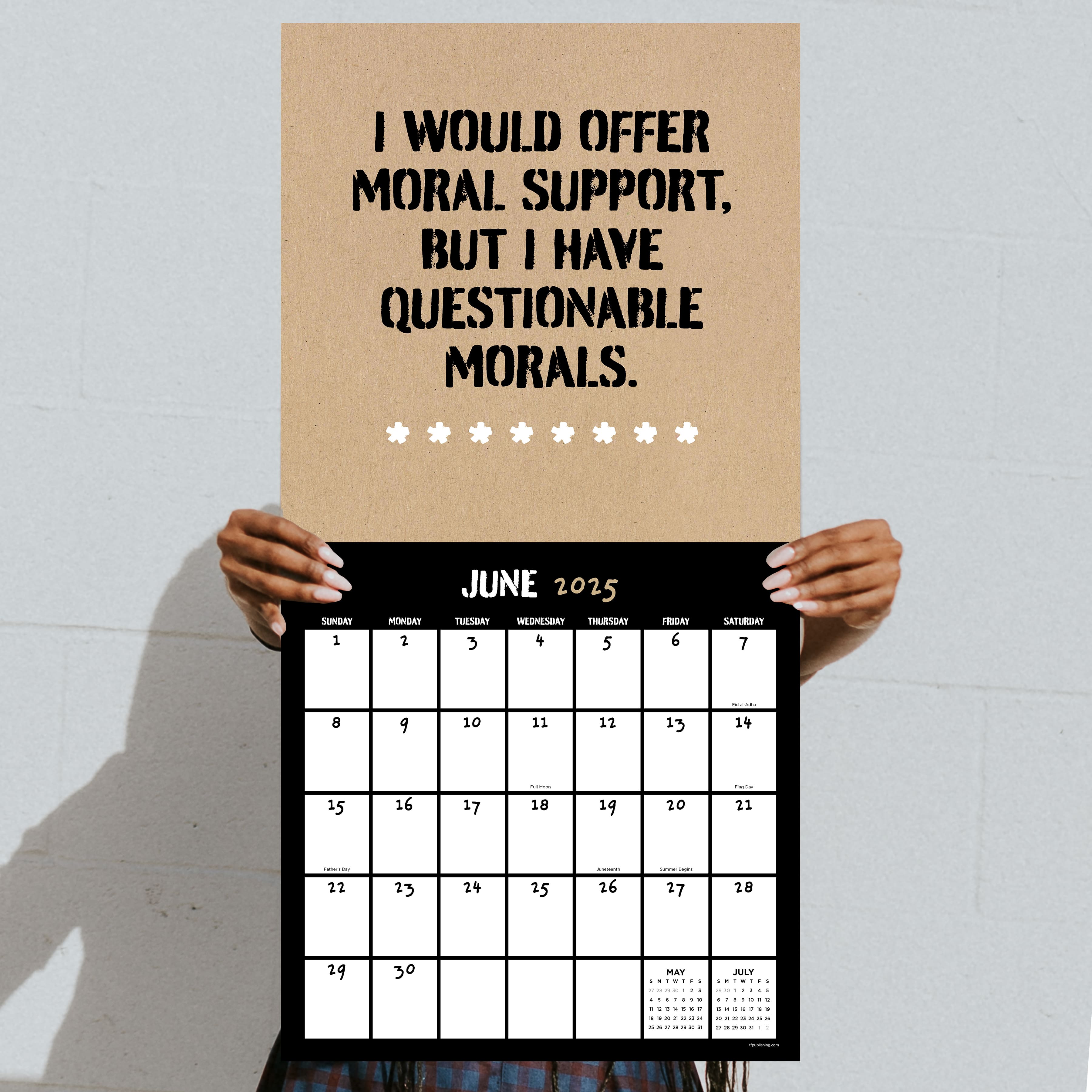 TF Publishing 2025 Anti-Affirmations Wall Calendar
