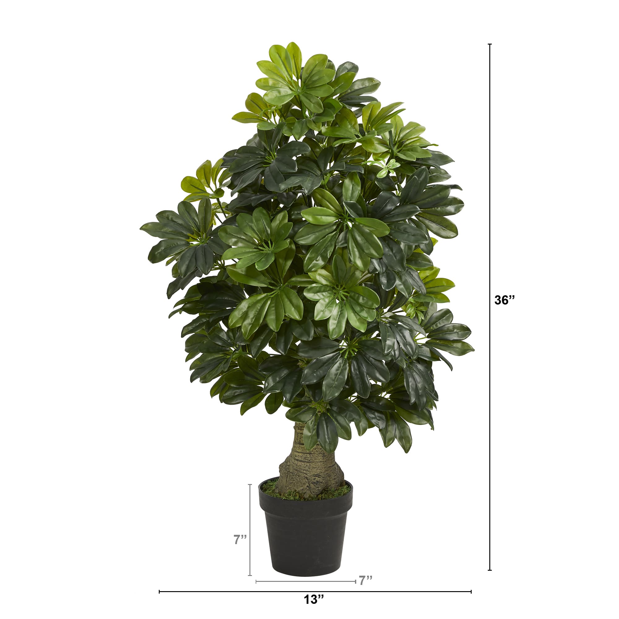3ft. Potted Umbrella Tree