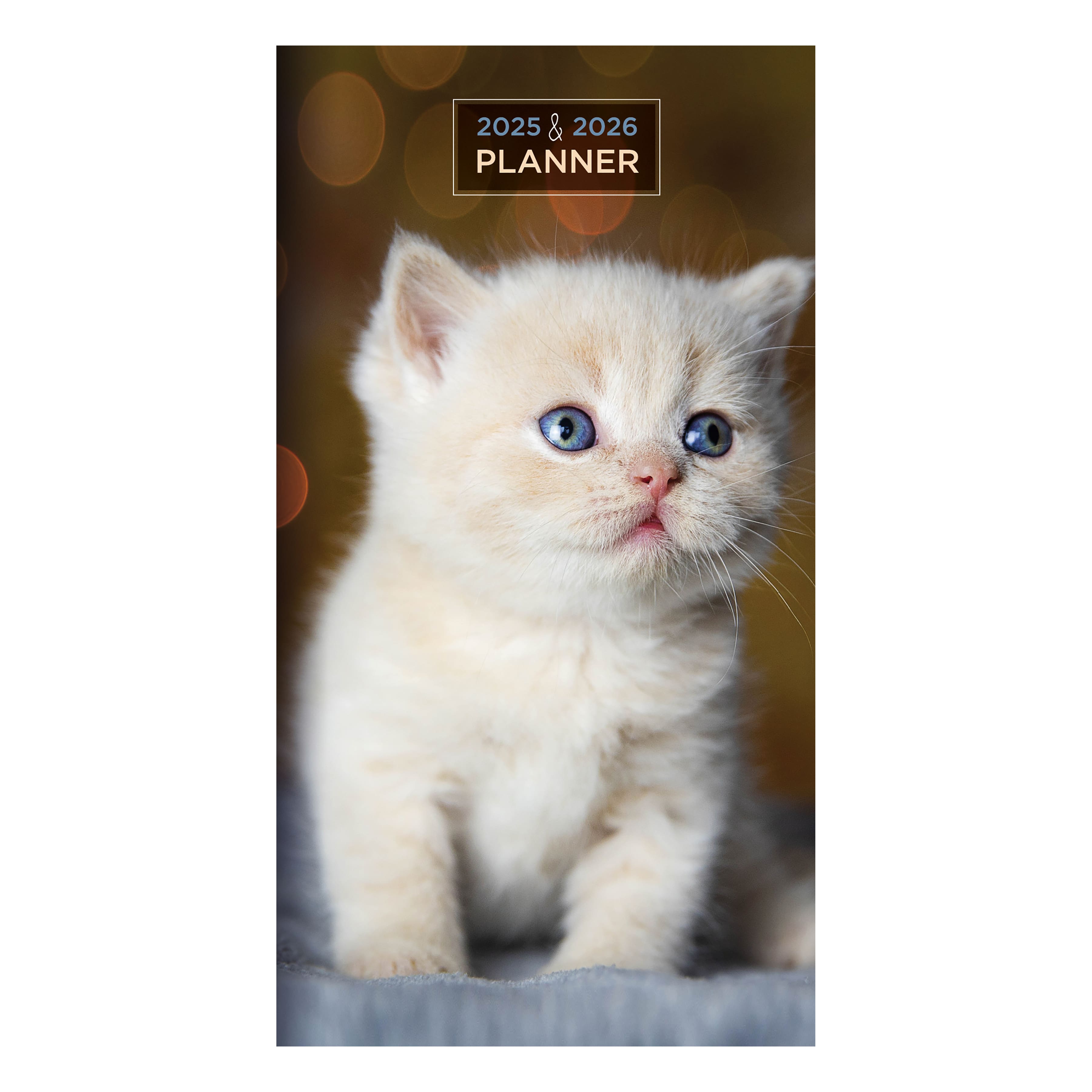 TF Publishing 2025-2026 Small Kitten Monthly Pocket Planner