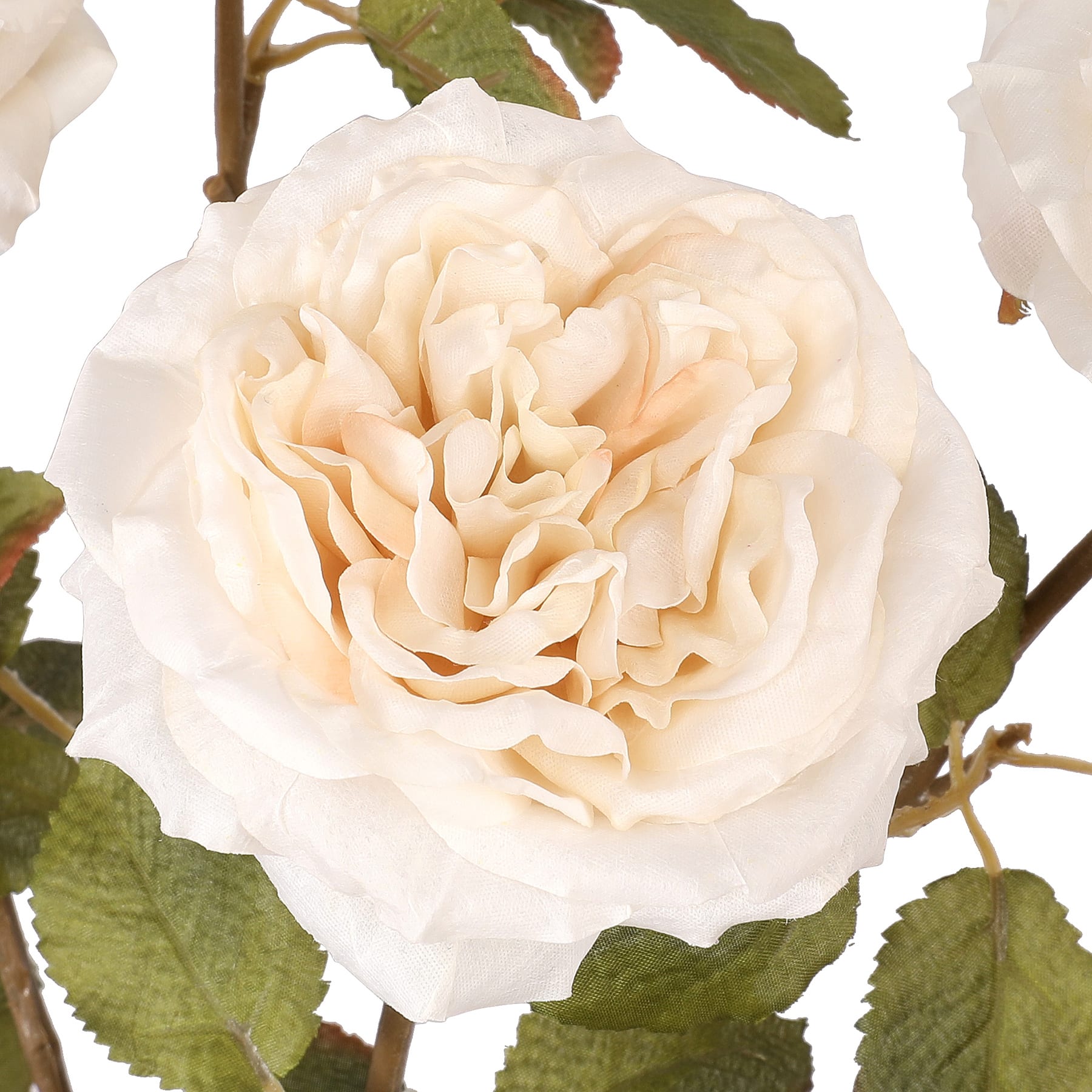 19&#x22; White Rose Deluxe Bush by Ashland&#xAE;