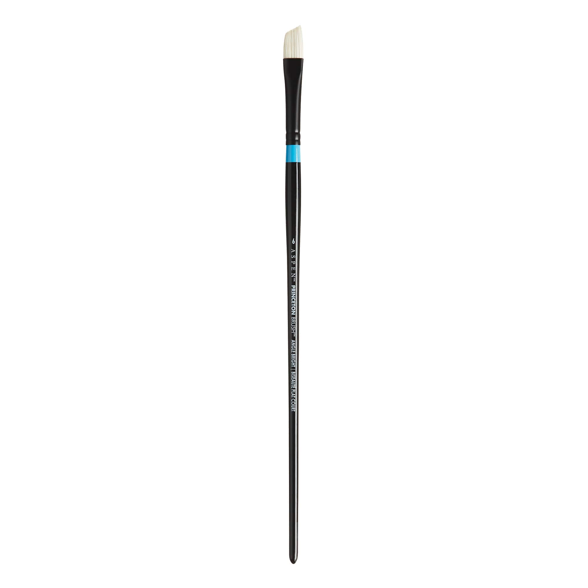 12 Pack: Princeton™ Aspen™ Series 6500 Long Handle Angle Bright Brush
