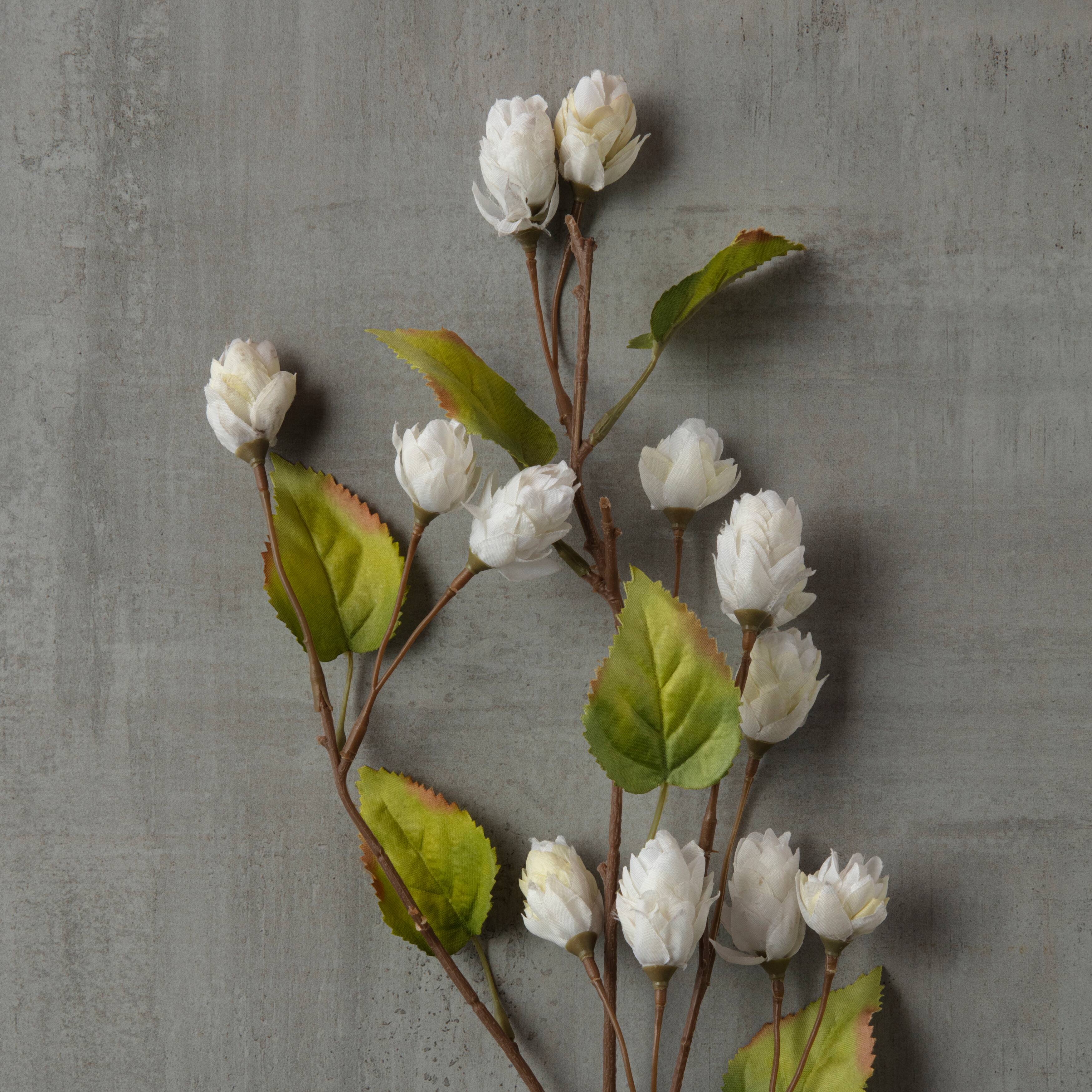 12 Pack: Cream Hops Spray by Ashland&#xAE;