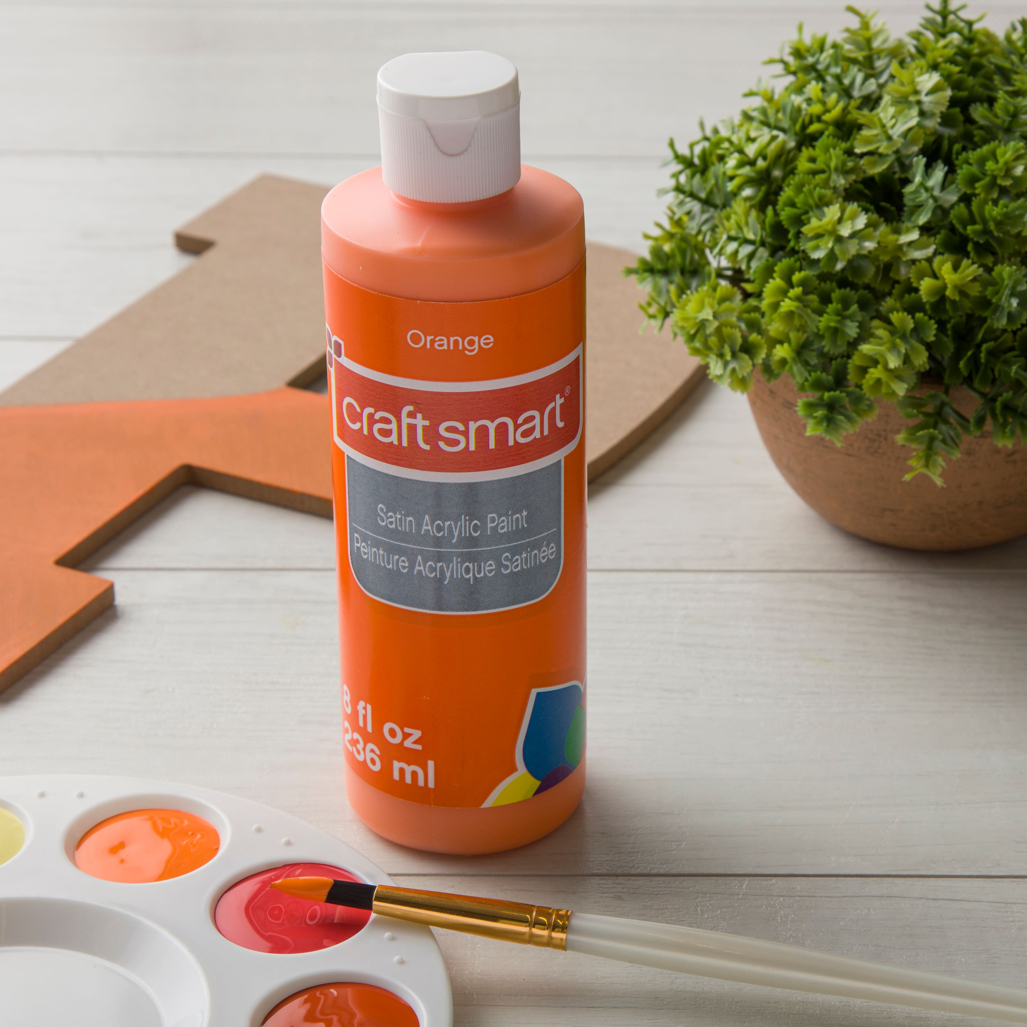 8 Pack: Satin Acrylic Paint by Craft Smart®, 8oz.