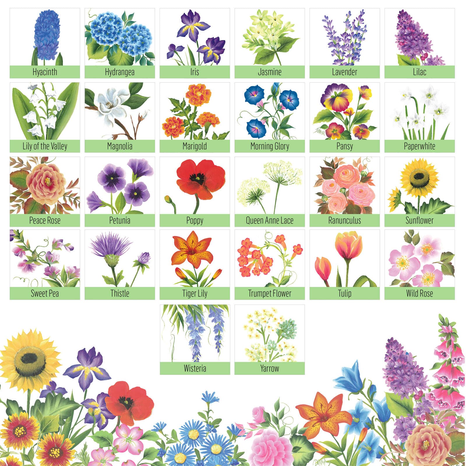 Let&#x27;s Paint with FolkArt&#xAE; One Stroke&#x2122; A-Z of Floral Painting Kit