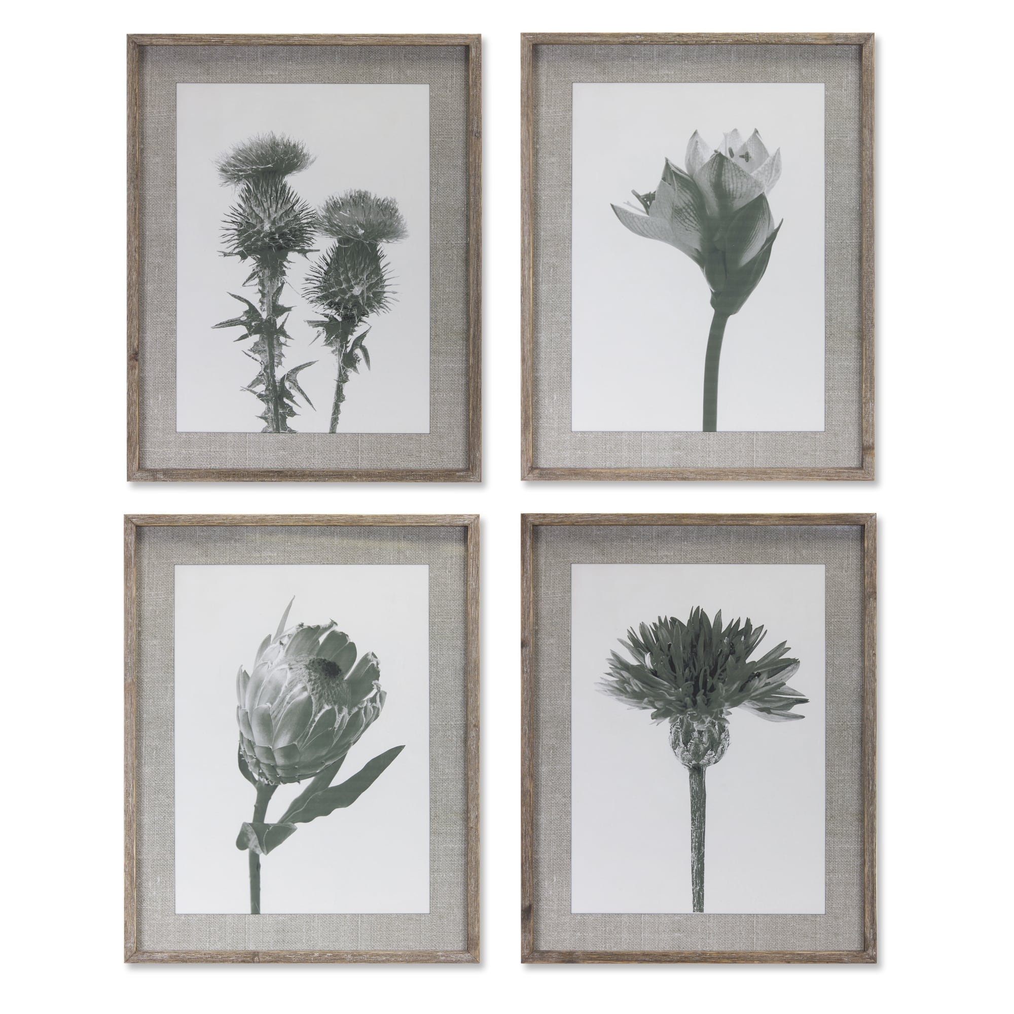21.5&#x22; x 27.5&#x22; Wood Floral Print Set