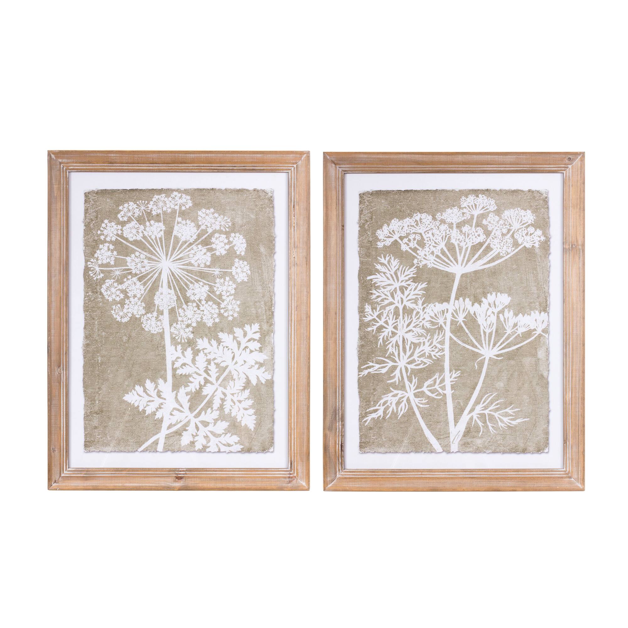 27" Framed Queen Anne's Lace & Fern Wall Art Set