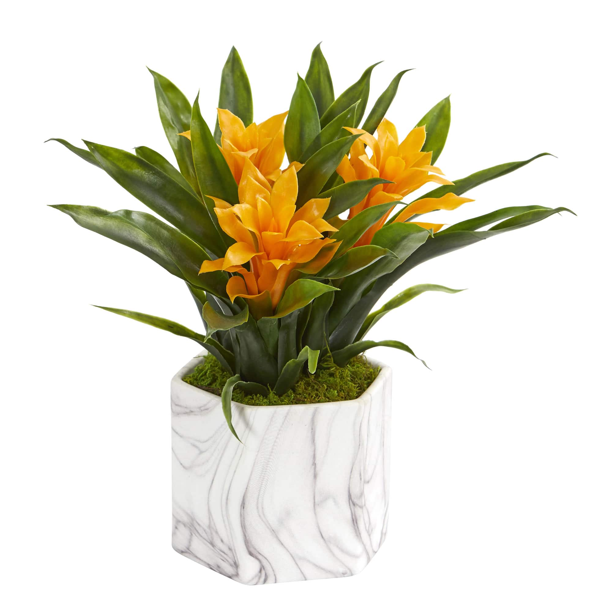 11&#x22; Bromeliad Plant in Marble Finished Vase