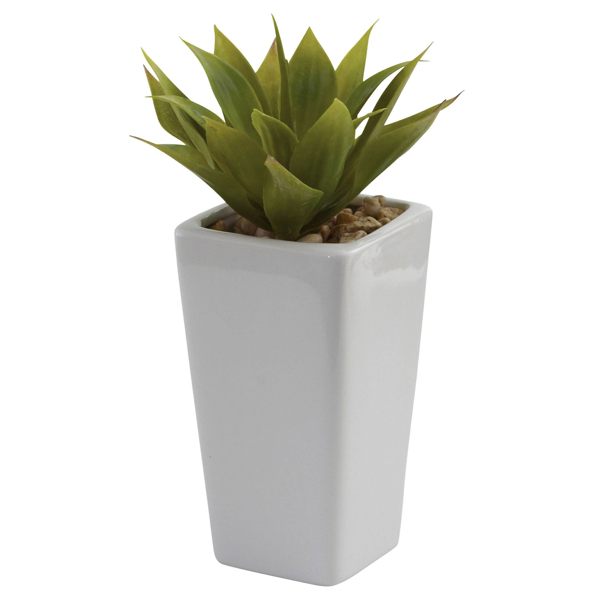 9" Mini Agave Arrangement in White Planter, 3ct.