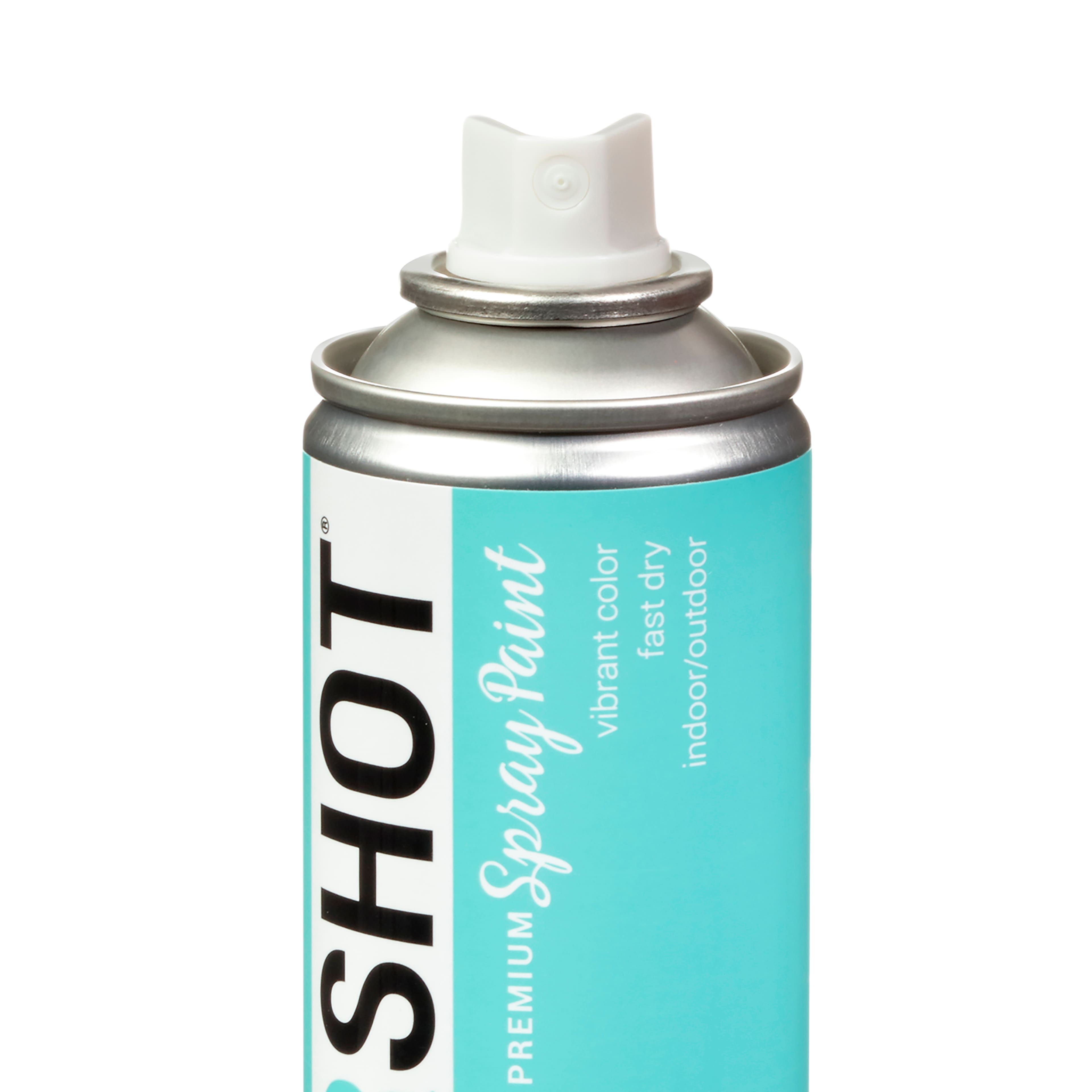 COLORSHOT® Premium Gloss Spray Paint