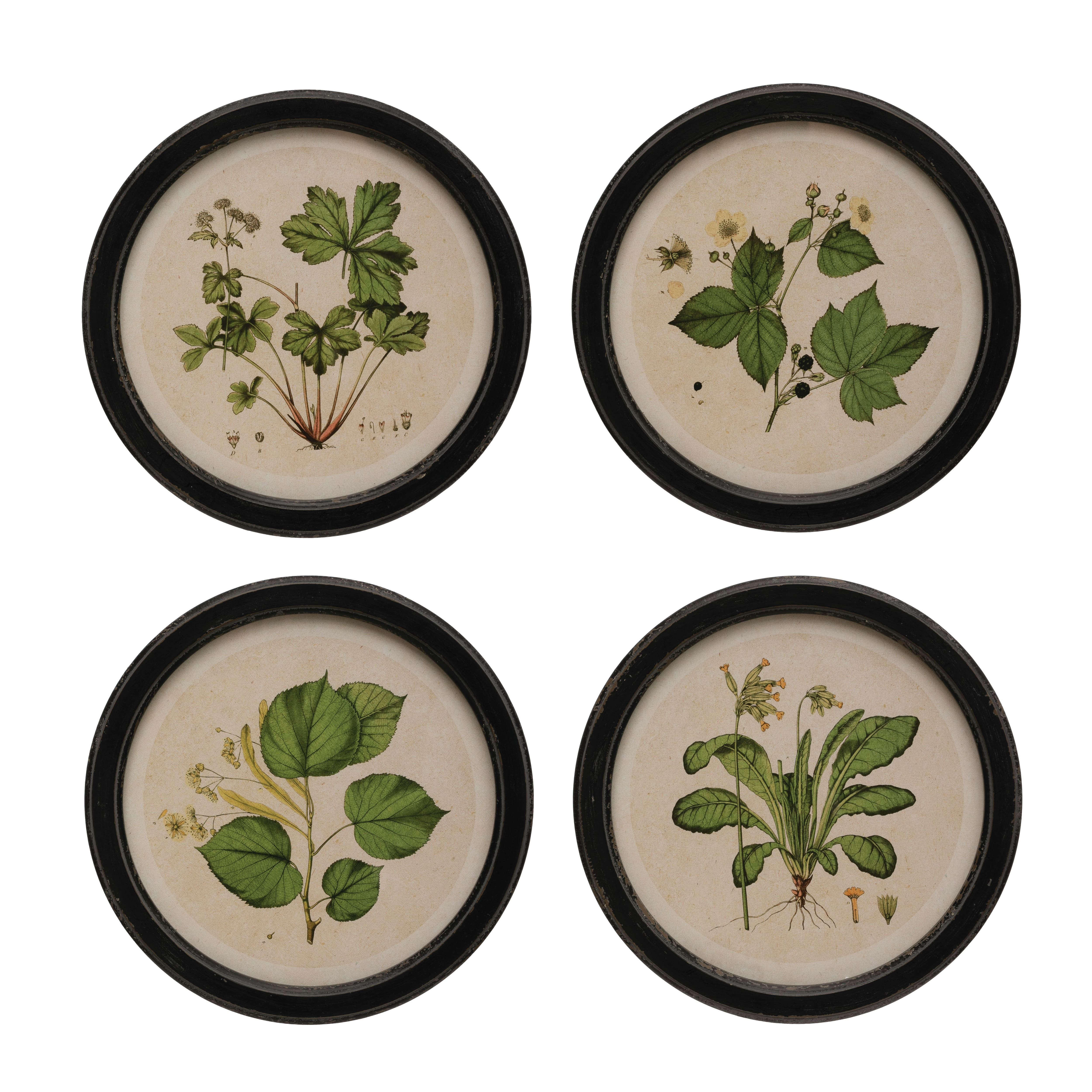 Hello Honey® 14" Vintage Botanical Prints Wooden Frame Set
