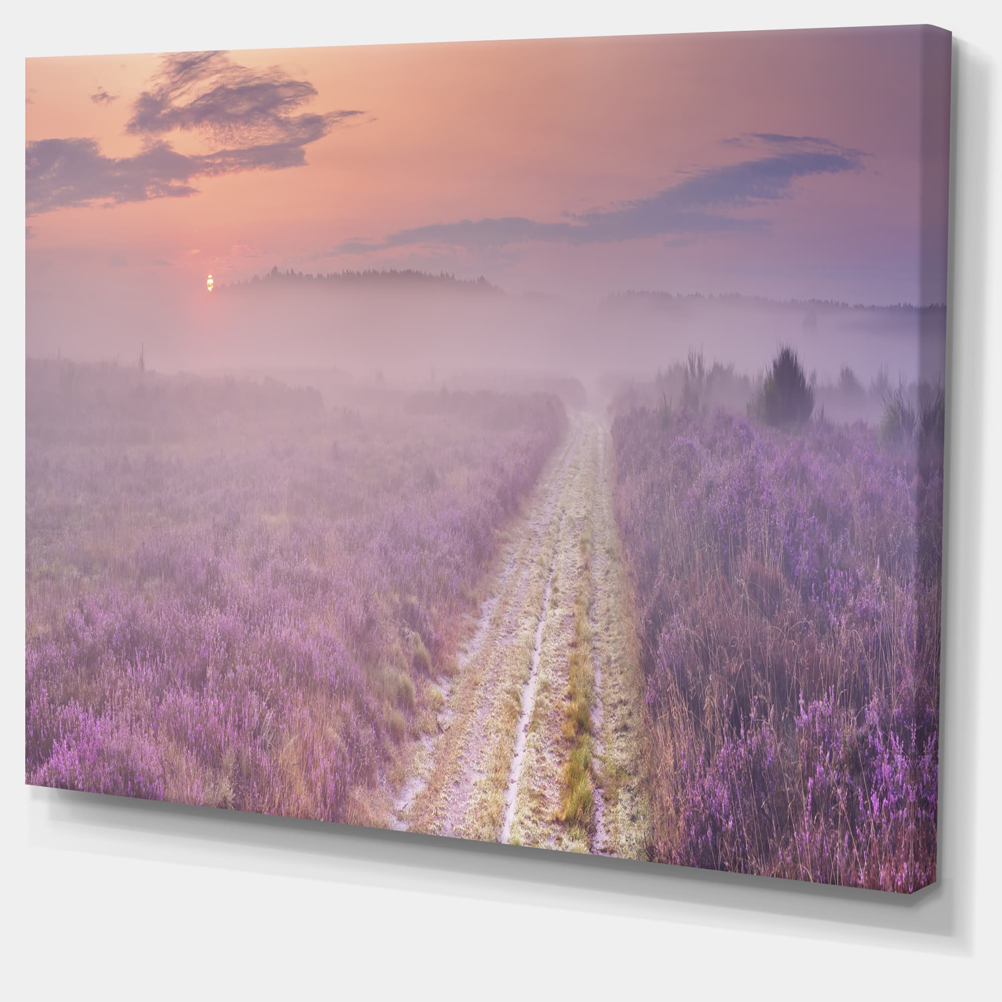 Designart - Path through Blooming Heather - Landscape Canvas Art Print