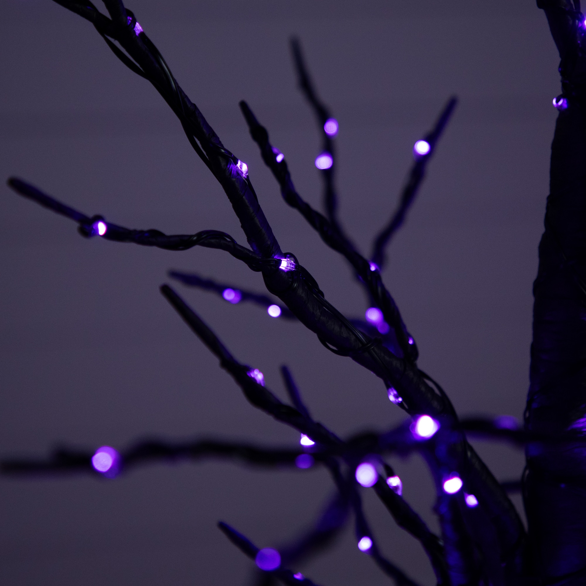 4ft. Pre-Lit LED Black Twig Artificial Halloween Tree