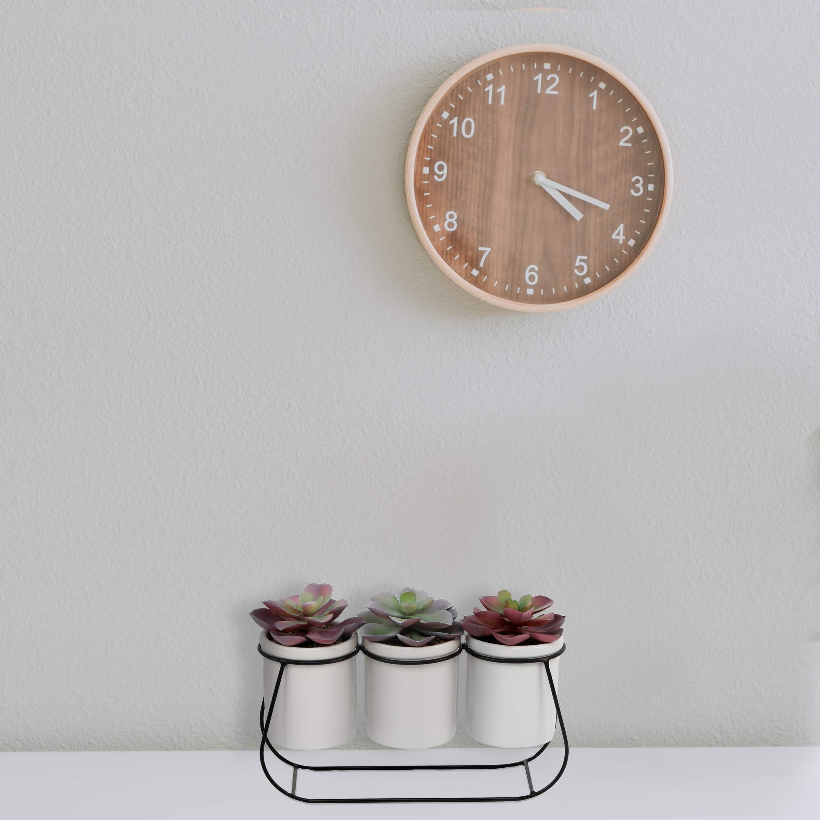 Flora Bunda® 11.5" Potted Succulents in Metal Stand